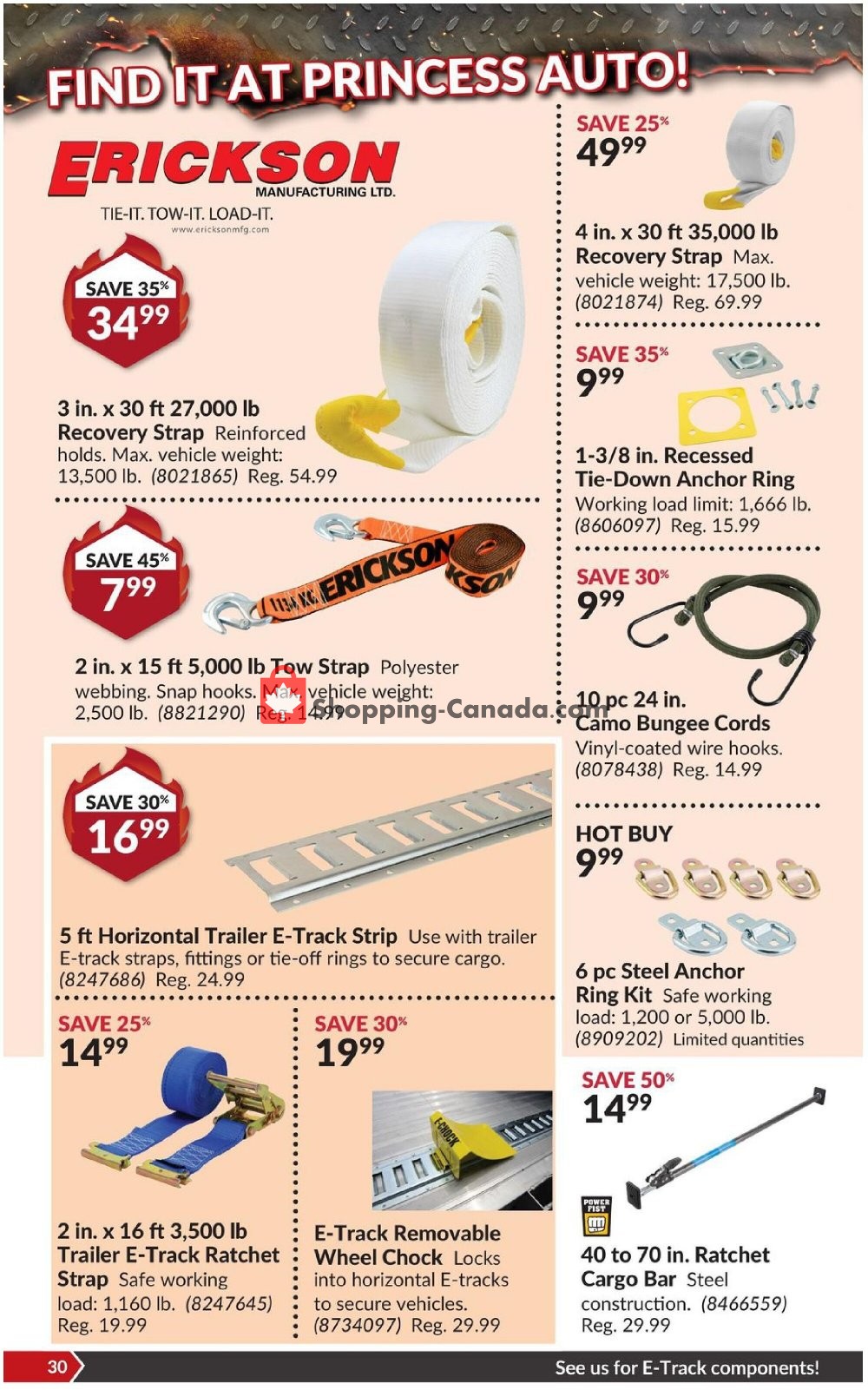 Princess Auto flyer from Tuesday January 19, 2021 to Sunday January 31, 2021 - page 36