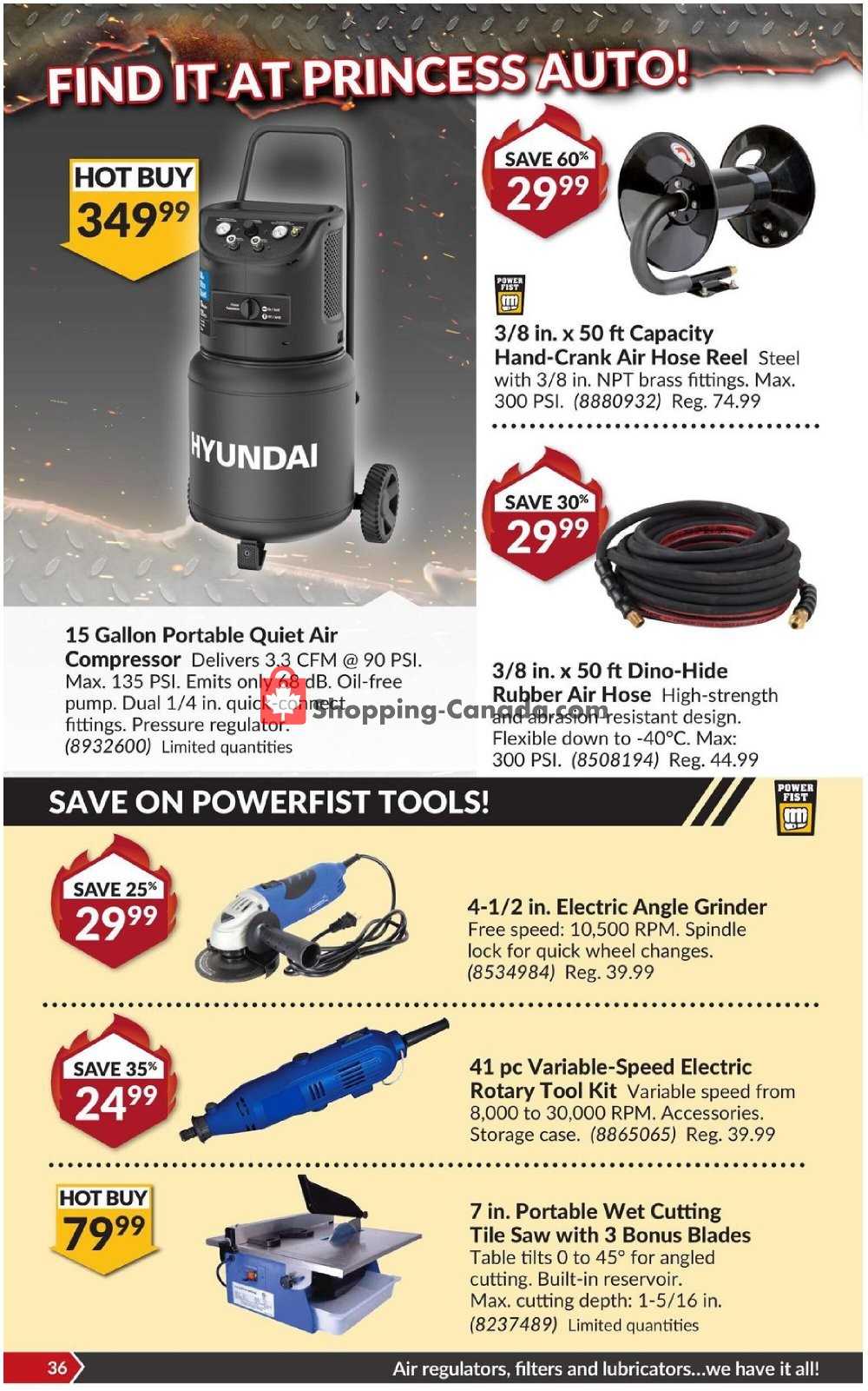 Princess Auto flyer from Tuesday January 19, 2021 to Sunday January 31, 2021 - page 42
