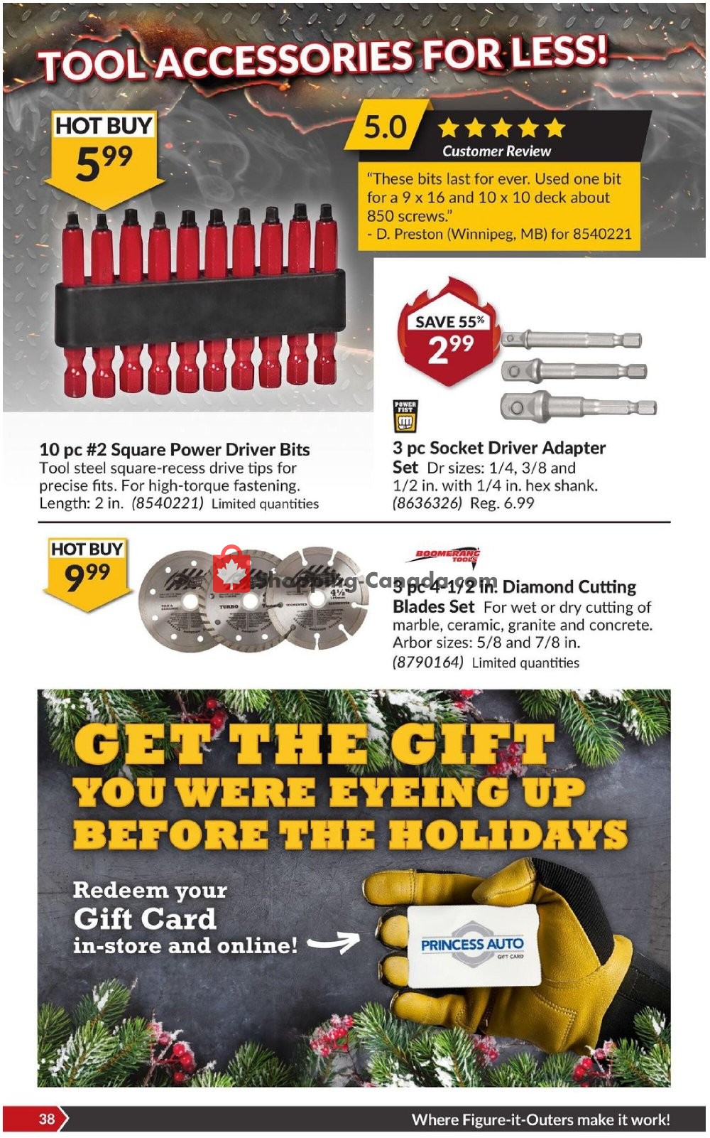 Princess Auto flyer from Tuesday January 19, 2021 to Sunday January 31, 2021 - page 44