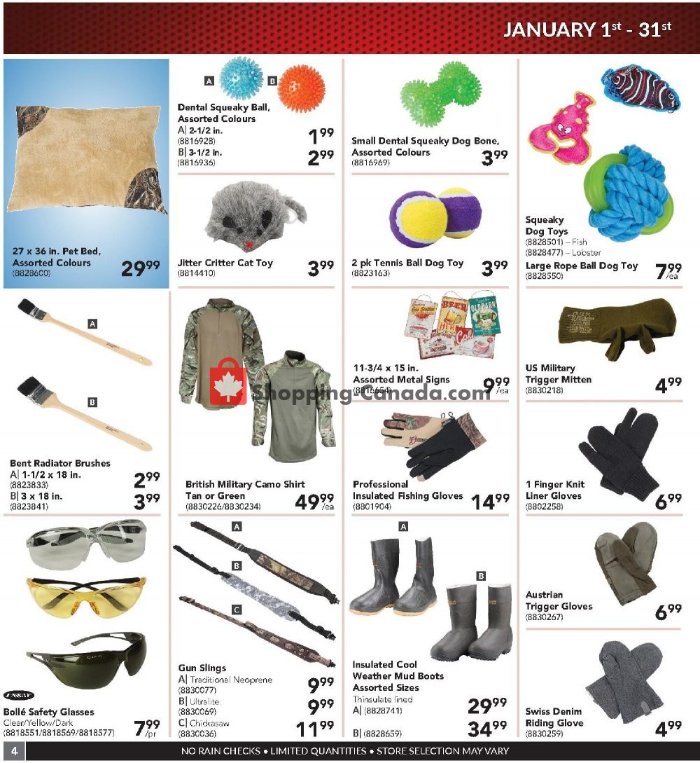 Princess Auto flyer from Tuesday January 1, 2019 to Thursday January 31, 2019 - page 4