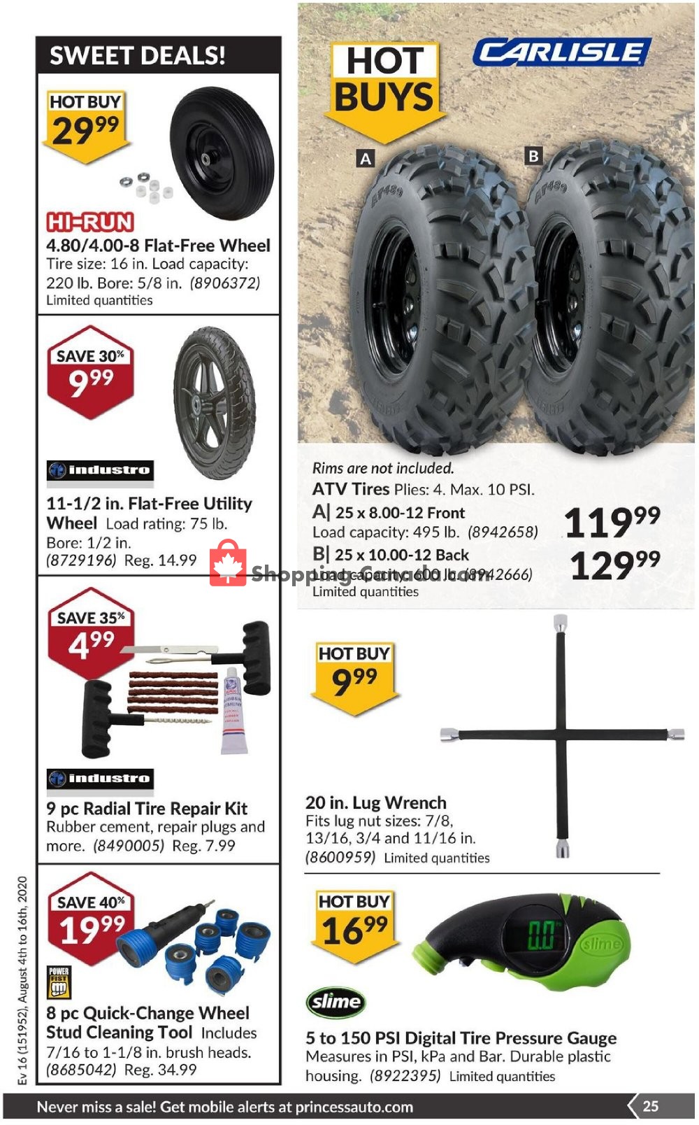 Princess Auto flyer from Tuesday August 4, 2020 to Sunday August 16, 2020 - page 31