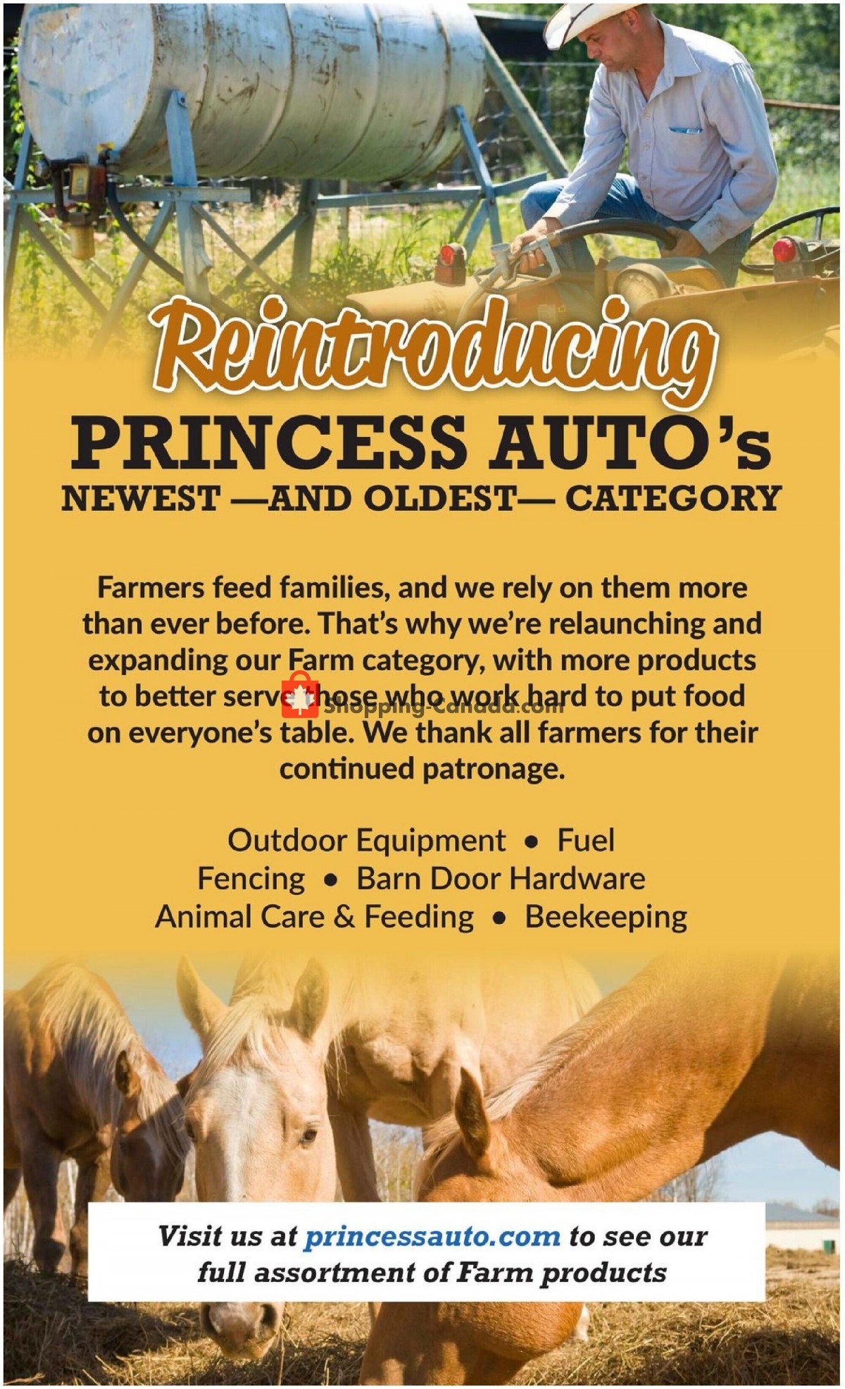 Princess Auto flyer from Tuesday March 30, 2021 to Sunday April 11, 2021 - page 20