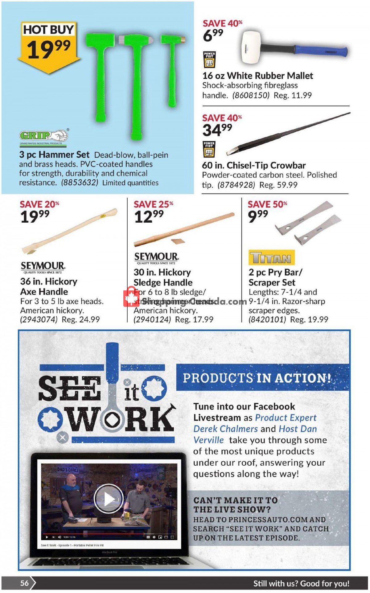 Princess Auto flyer from Tuesday March 30, 2021 to Sunday April 11, 2021 - page 61