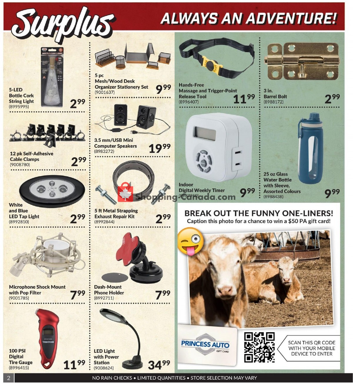 Princess Auto flyer from Saturday May 1, 2021 to Monday May 31, 2021 - page 2