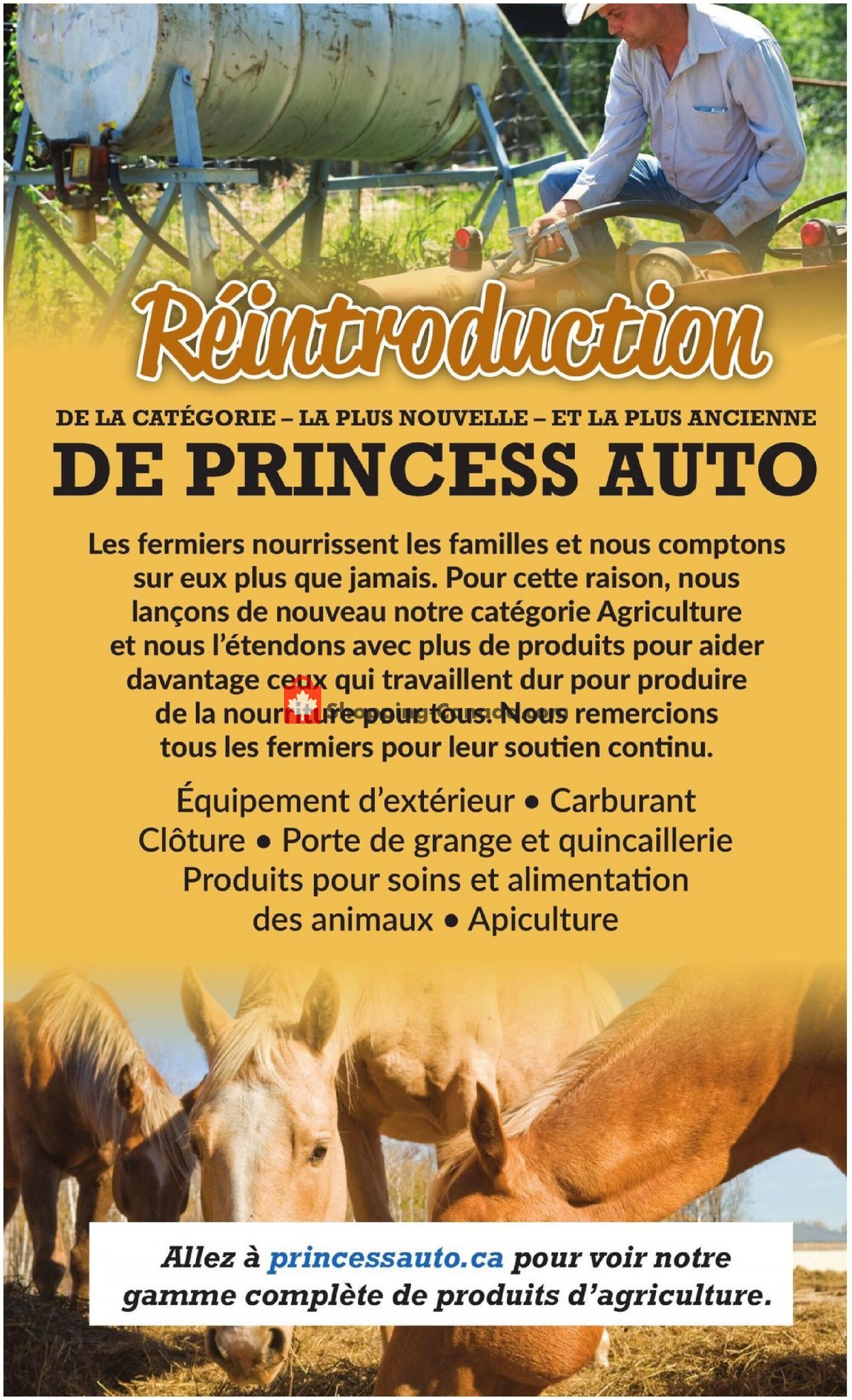 Princess Auto flyer from Tuesday March 30, 2021 to Sunday April 11, 2021 - page 20