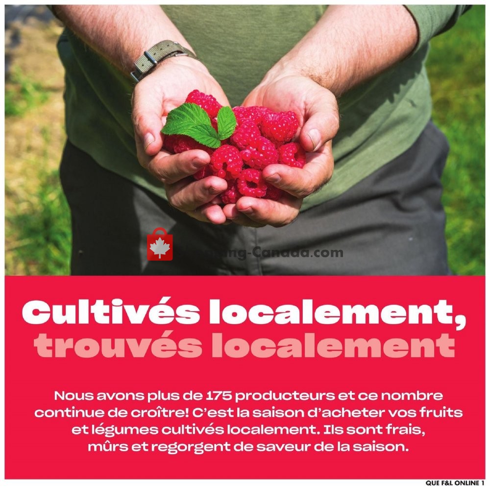 Provigo flyer from Thursday September 12, 2019 to Wednesday September 18, 2019 - page 1