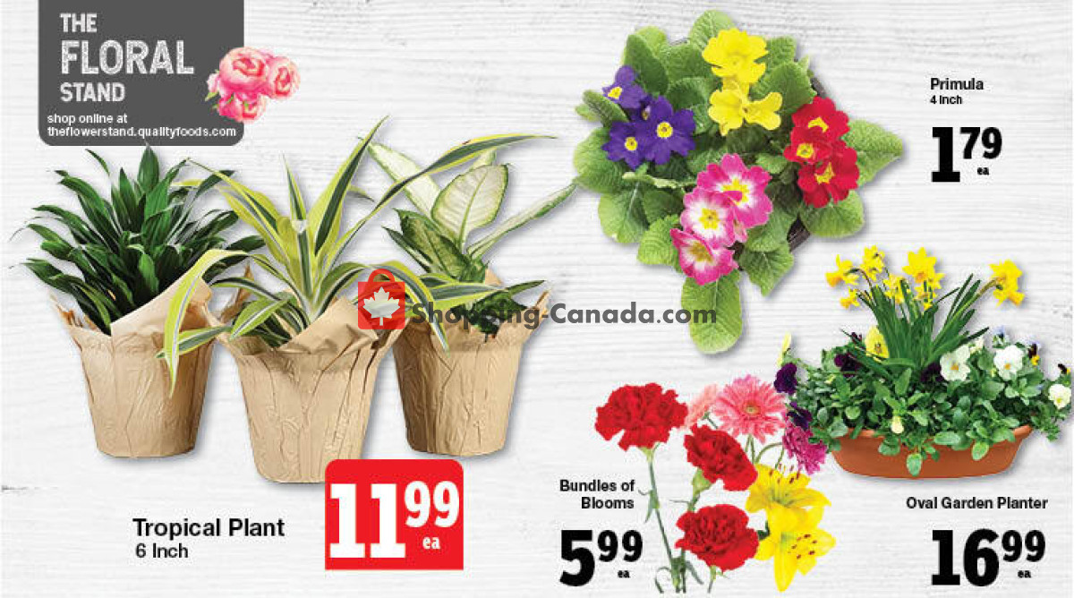 Quality Foods flyer from Thursday February 15, 2024 to Wednesday February 21, 2024 - page 3