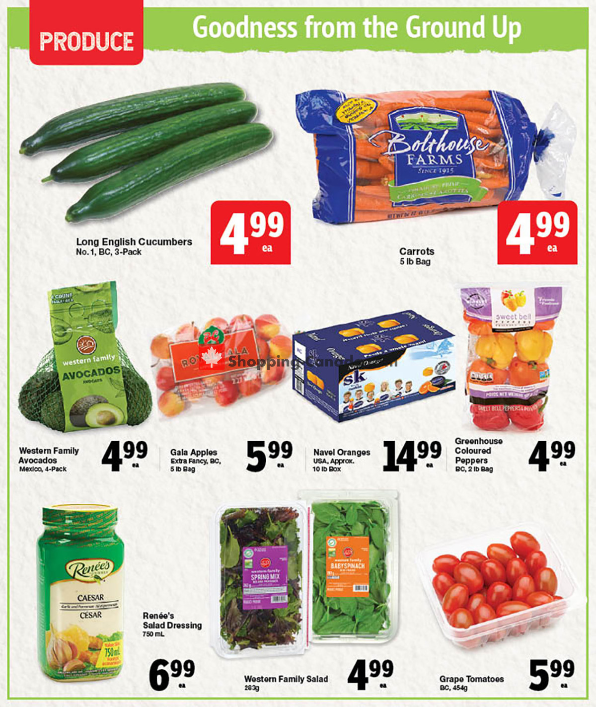 Quality Foods flyer from Thursday January 18, 2024 to Wednesday January 24, 2024 - page 5