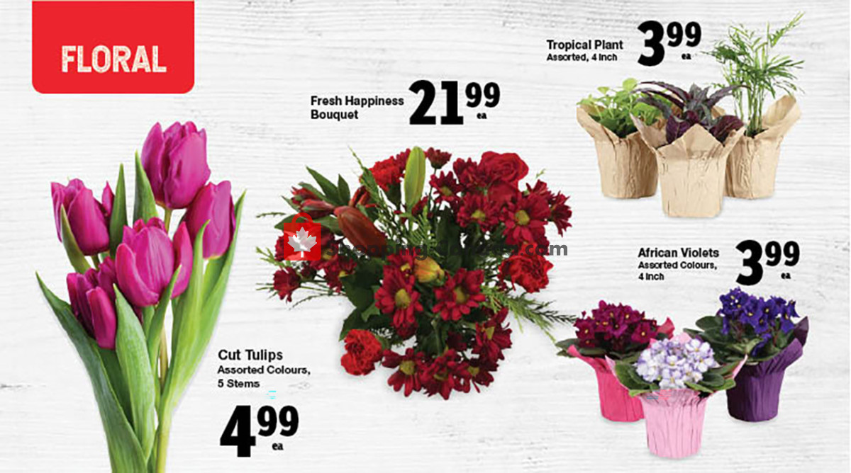 Quality Foods flyer from Thursday January 25, 2024 to Wednesday January 31, 2024 - page 3