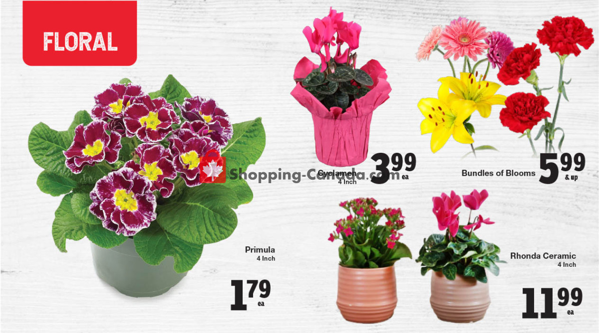 Quality Foods flyer from Thursday February 1, 2024 to Wednesday February 7, 2024 - page 3