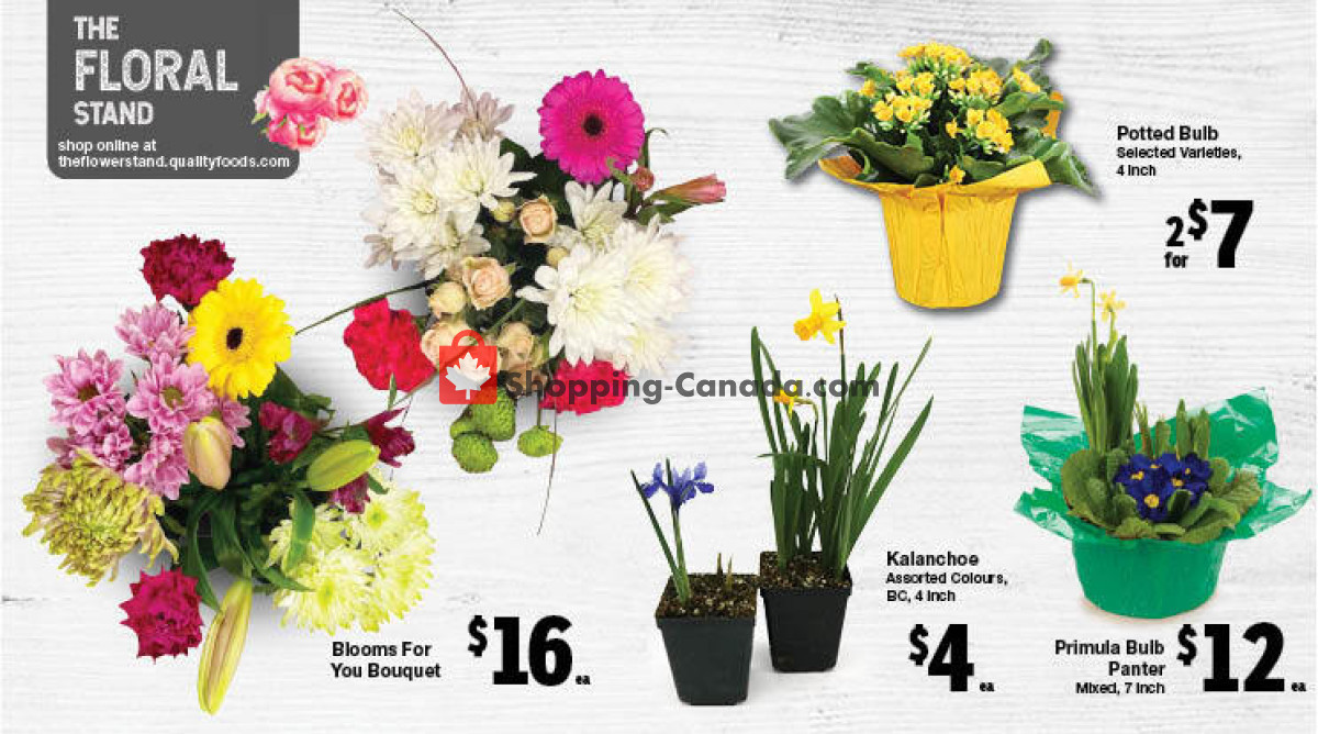 Quality Foods flyer from Thursday February 22, 2024 to Wednesday February 28, 2024 - page 3