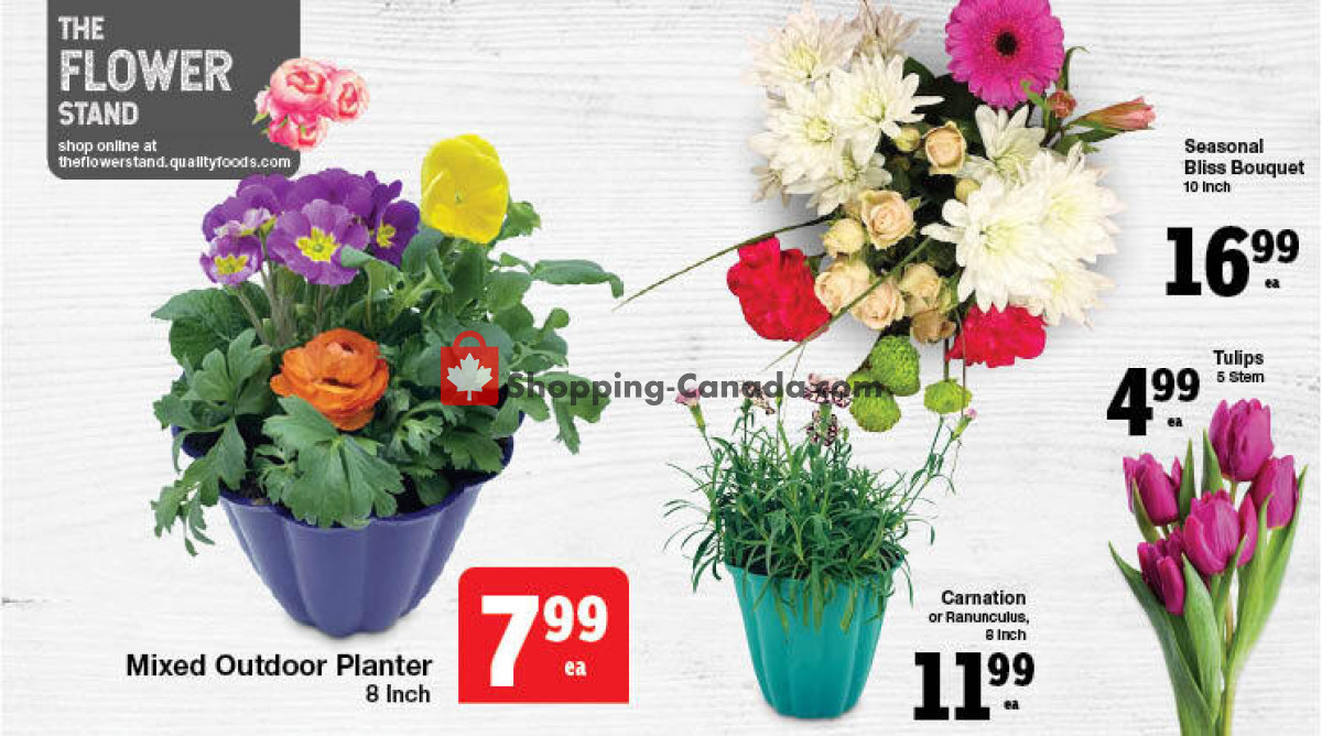 Quality Foods flyer from Thursday February 29, 2024 to Wednesday March 6, 2024 - page 3