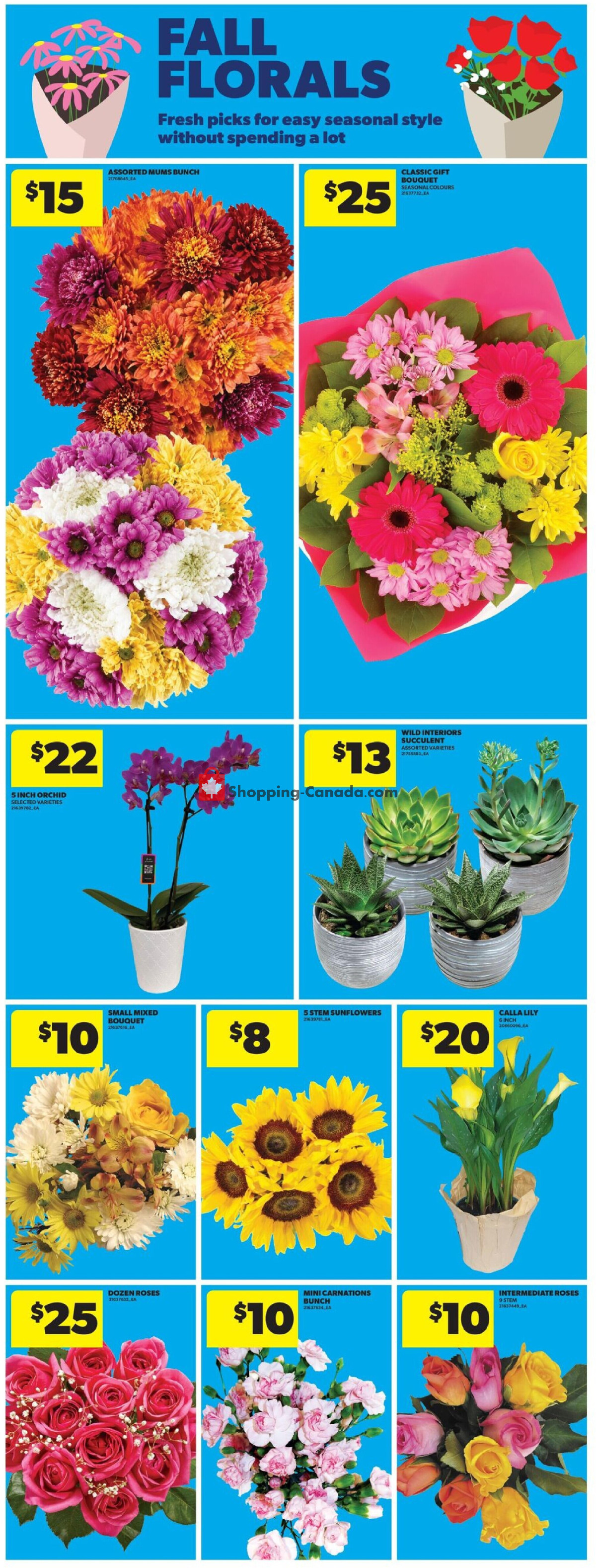Real Canadian Superstore flyer from Thursday August 20, 2026 to Wednesday August 26, 2026 - page 17