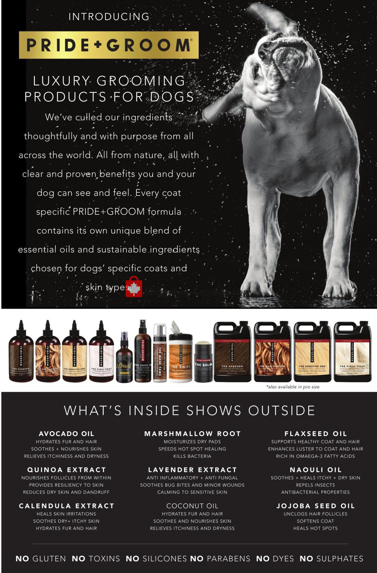 Ren's Pets Depot flyer from Thursday February 1, 2024 to Thursday February 29, 2024 - page 4