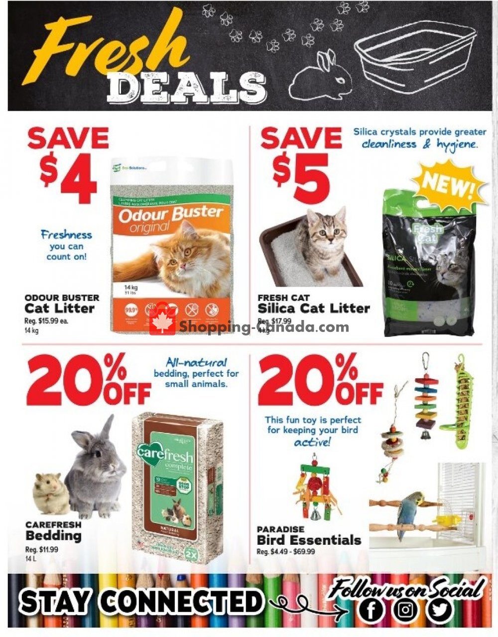 Ren's Pets Depot Canada, flyer (Everything Your Pets Need) August 24