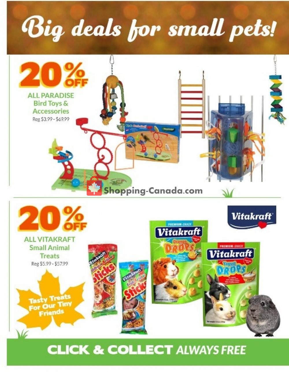Ren's Pets Depot Canada, flyer (Everything Your Pets Need) November