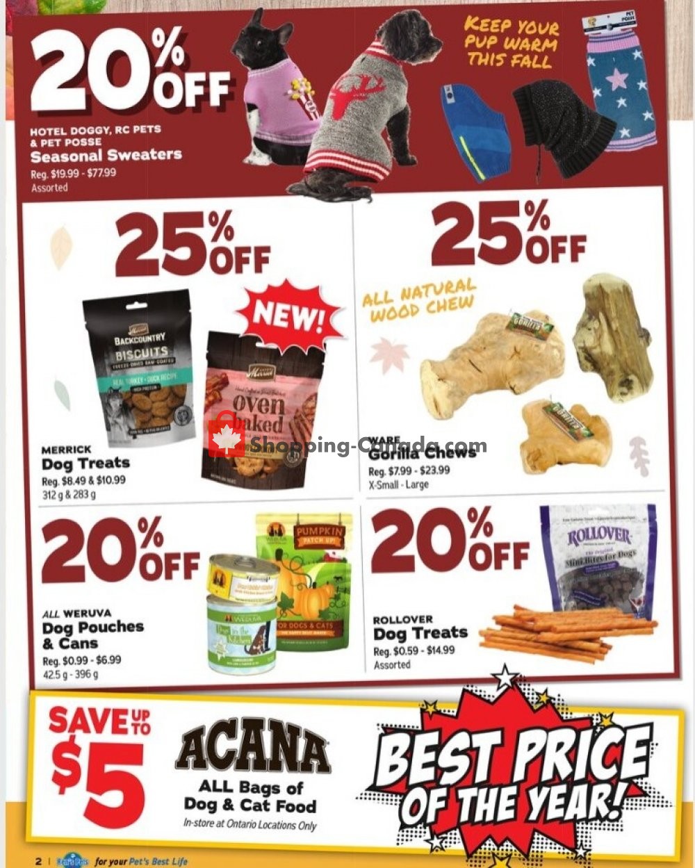 Ren's Pets Depot Canada, flyer (Everything Your Pets Need) November