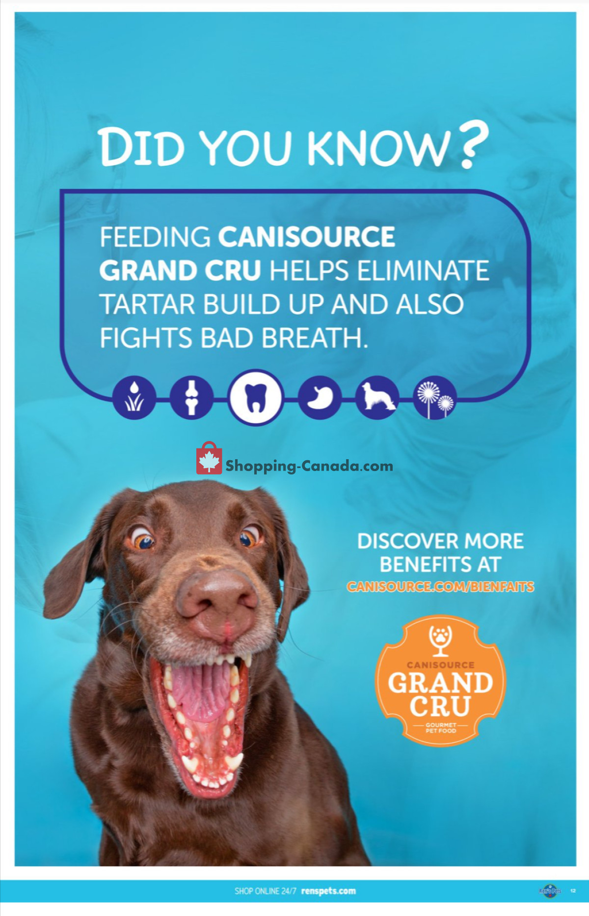 Ren's Pets Depot flyer from Monday January 1, 2024 to Wednesday January 31, 2024 - page 12