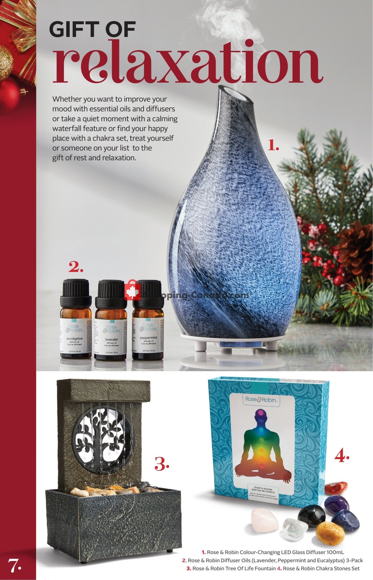 Rexall Drug Store flyer from Friday December 3, 2021 to Thursday December 9, 2021 - page 25
