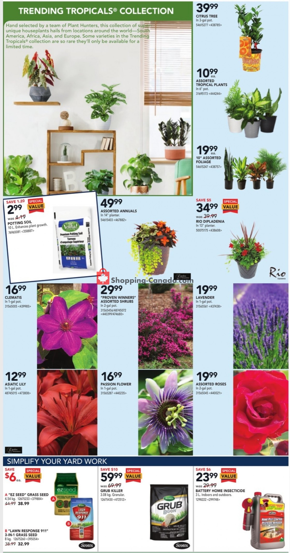 Rona flyer from Thursday June 3, 2021 to Wednesday June 9, 2021 - page 6