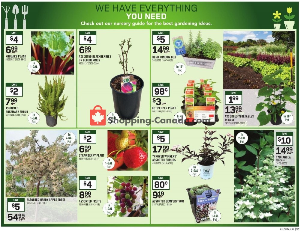 Rona flyer from Thursday May 21, 2020 to Wednesday May 27, 2020 - page 15
