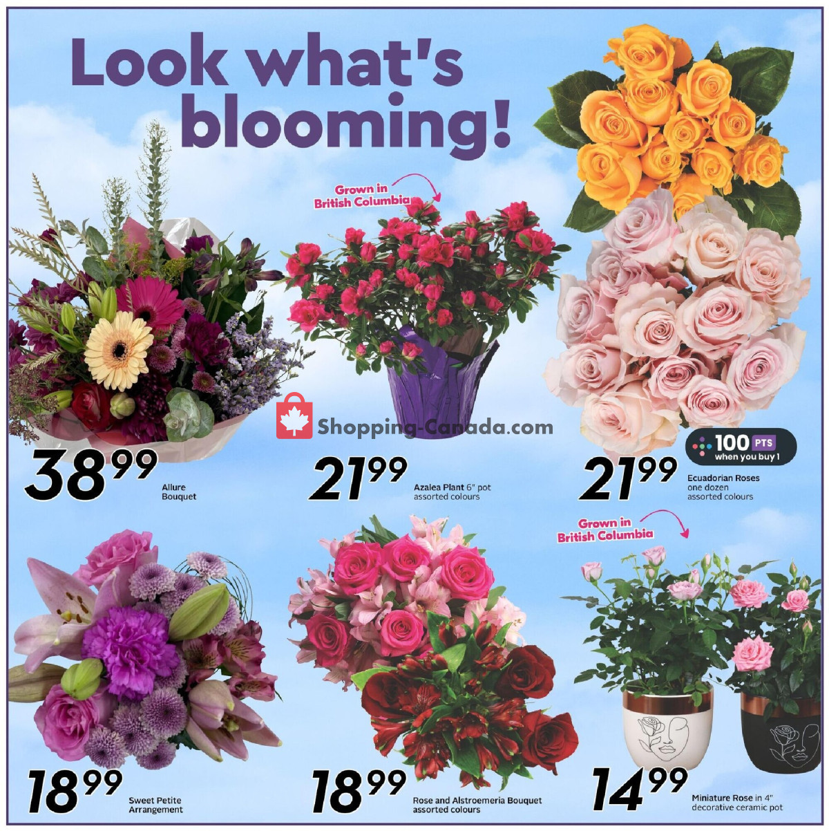 Safeway flyer from Thursday March 7, 2024 to Wednesday March 13, 2024 - page 16