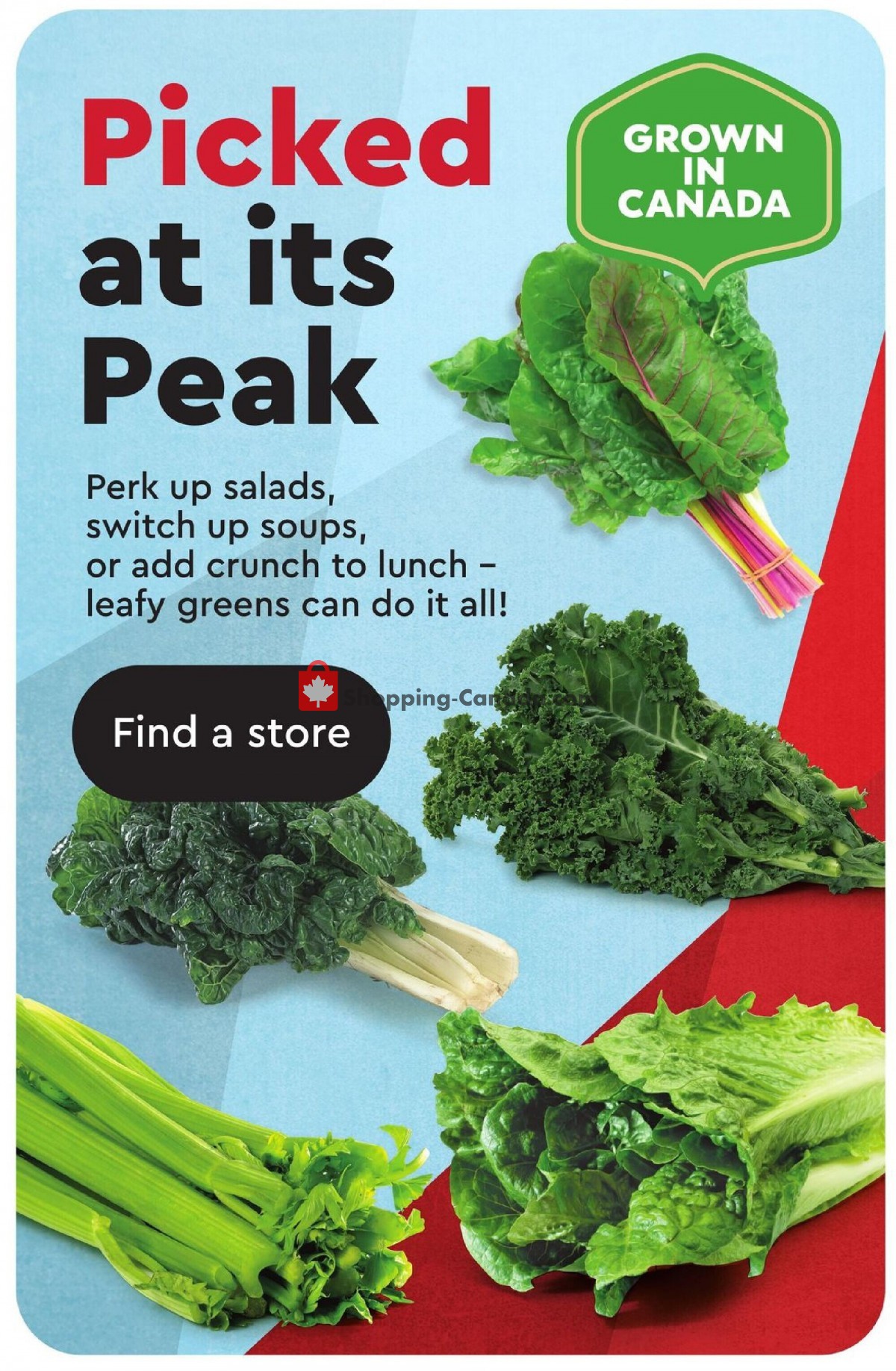 Safeway flyer from Thursday August 12, 2021 to Wednesday August 18, 2021 - page 8