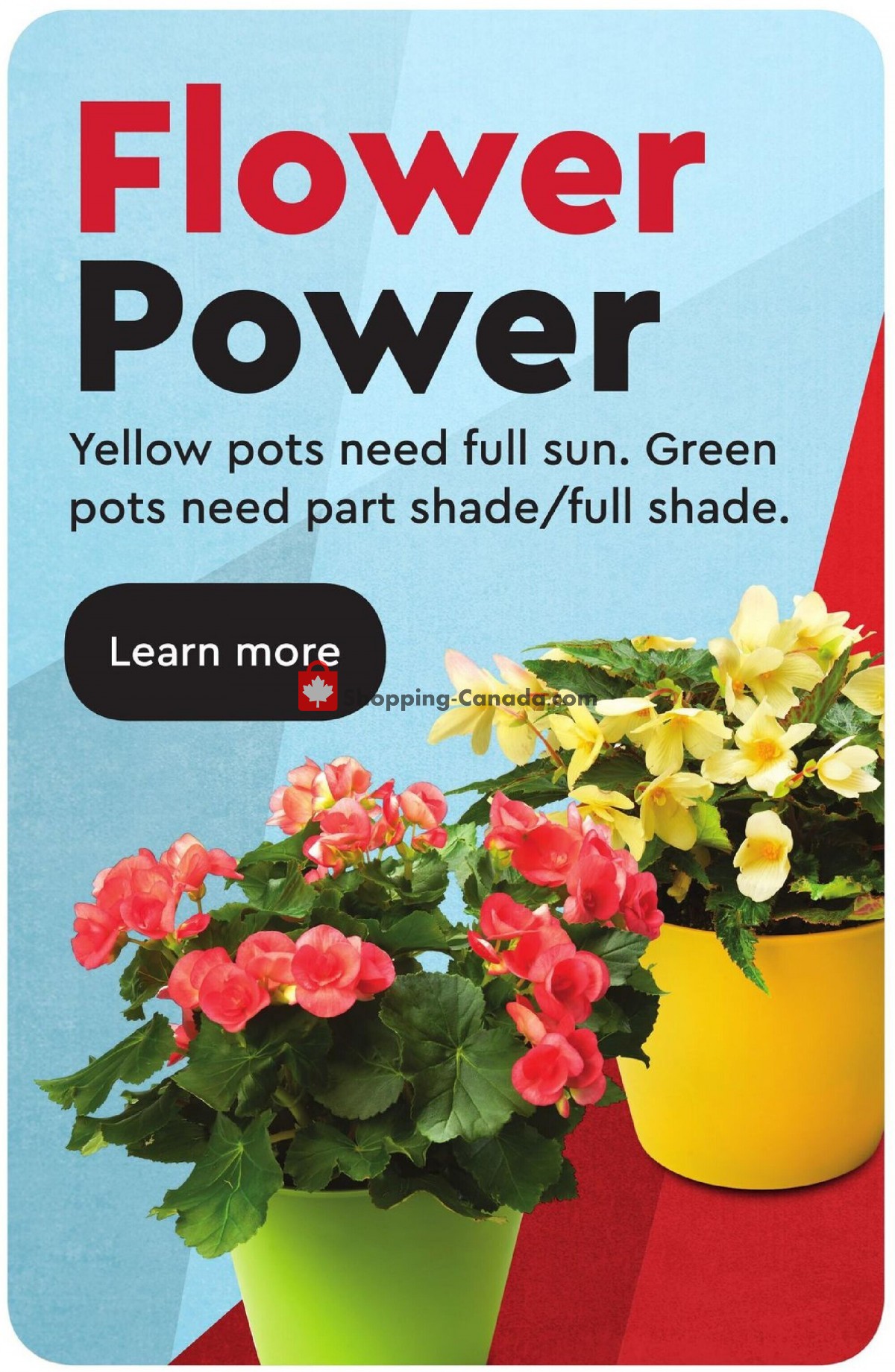 Safeway flyer from Thursday May 6, 2021 to Wednesday May 12, 2021 - page 4