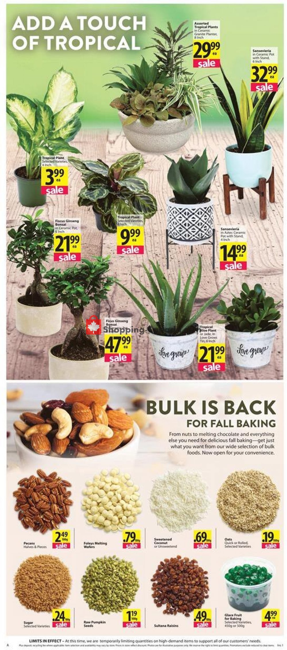 Save On Foods flyer from Thursday October 15, 2020 to Wednesday October 21, 2020 - page 3