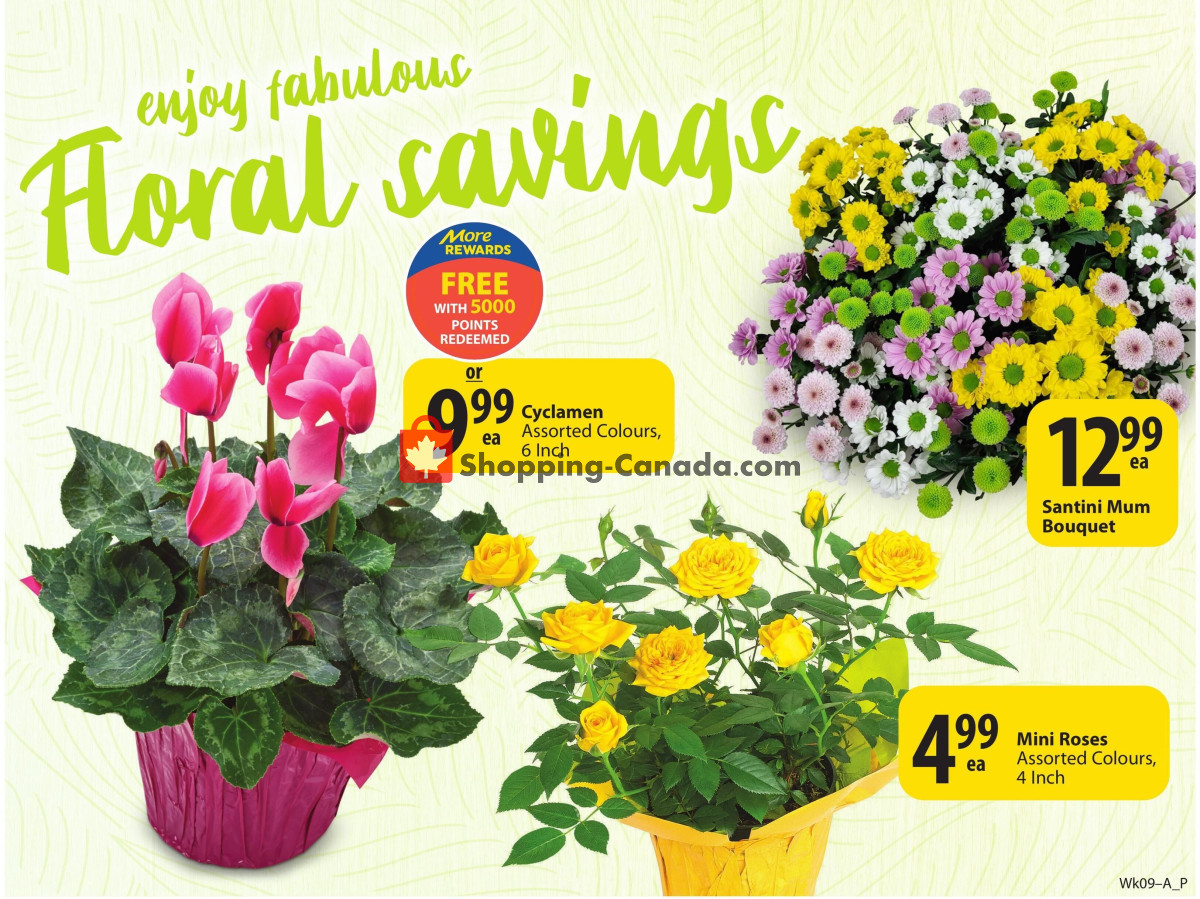 Save On Foods flyer from Thursday February 29, 2024 to Wednesday March 6, 2024 - page 6