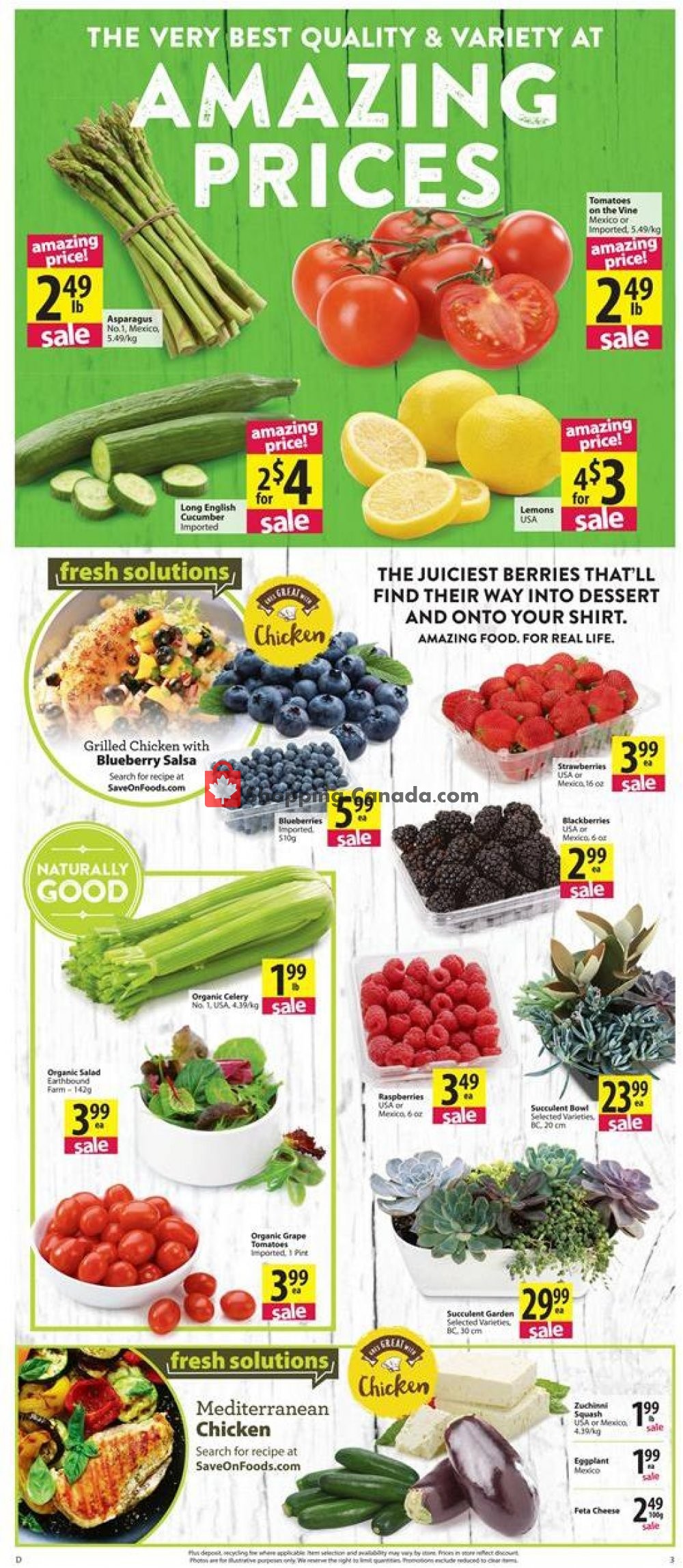 Save On Foods flyer from Thursday March 7, 2019 to Wednesday March 13, 2019 - page 3