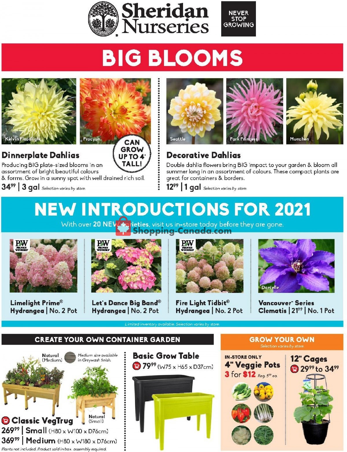 Sheridan Nurseries flyer from Thursday June 3, 2021 to Wednesday June 16, 2021 - page 1