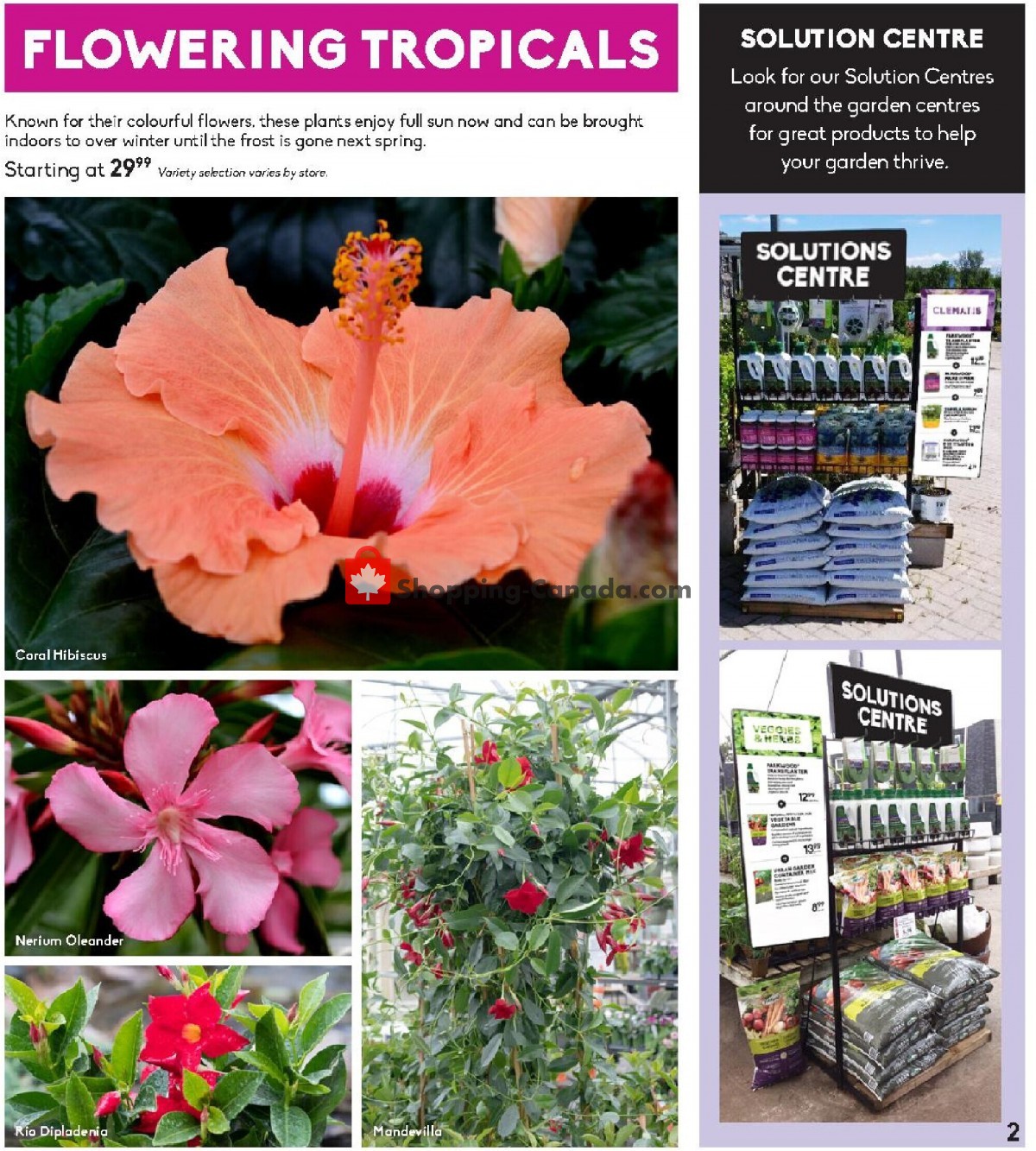 Sheridan Nurseries flyer from Thursday June 3, 2021 to Wednesday June 16, 2021 - page 2