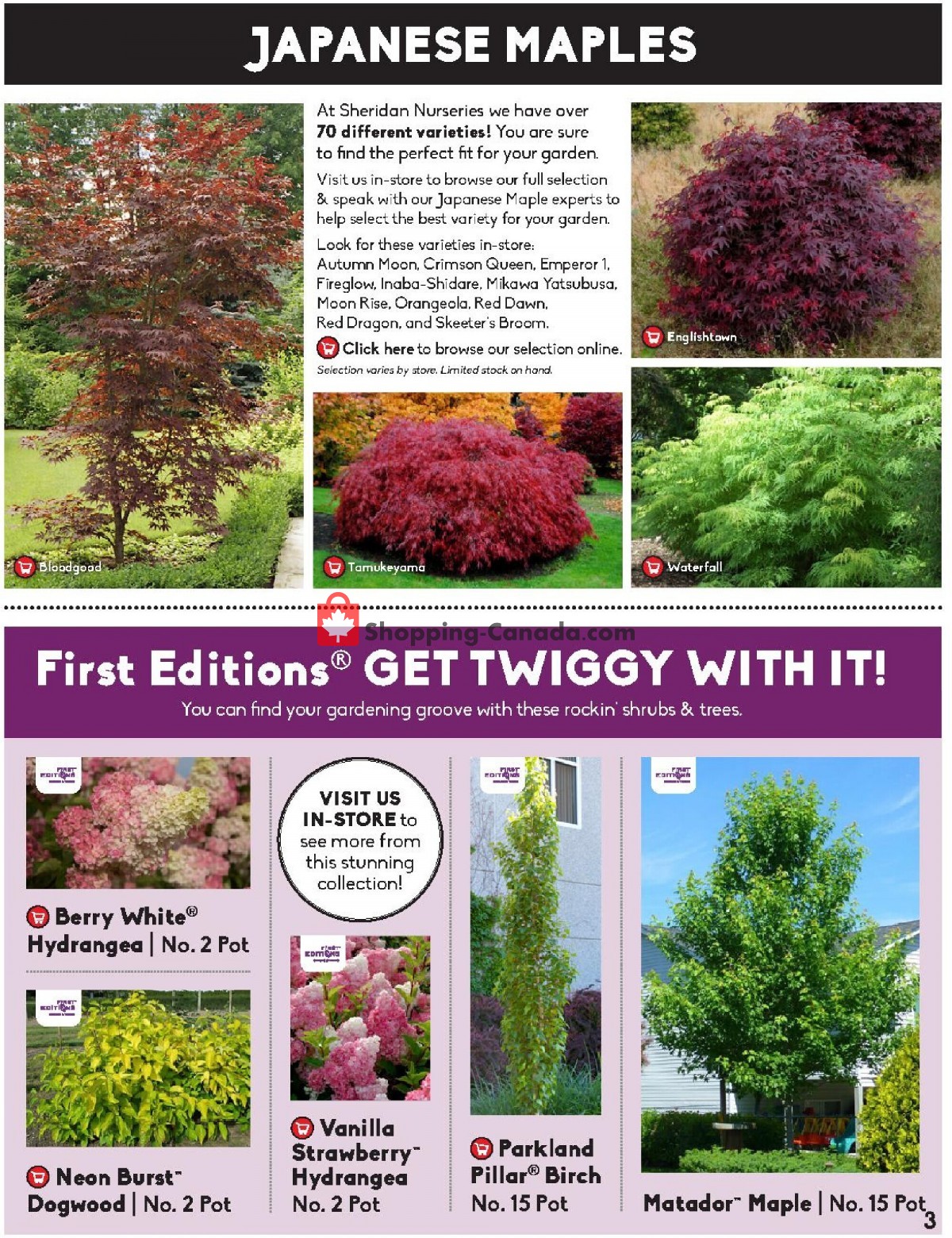 Sheridan Nurseries flyer from Thursday June 3, 2021 to Wednesday June 16, 2021 - page 3
