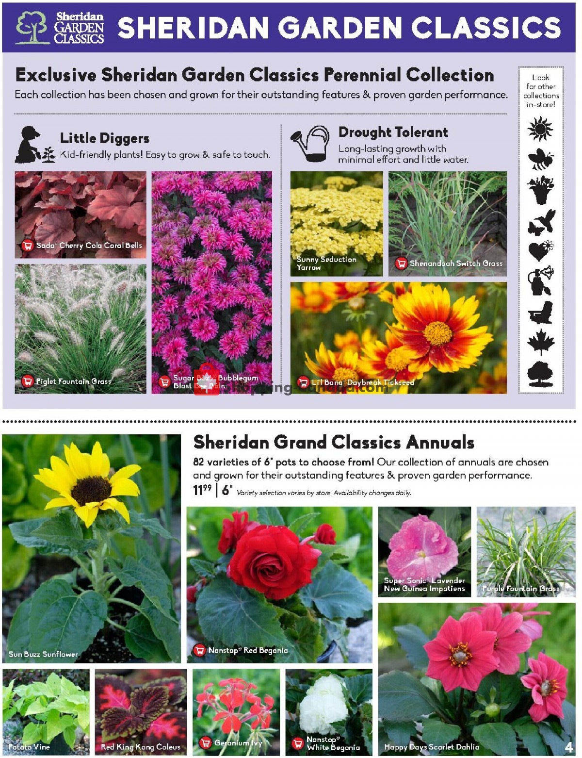 Sheridan Nurseries flyer from Thursday June 3, 2021 to Wednesday June 16, 2021 - page 4