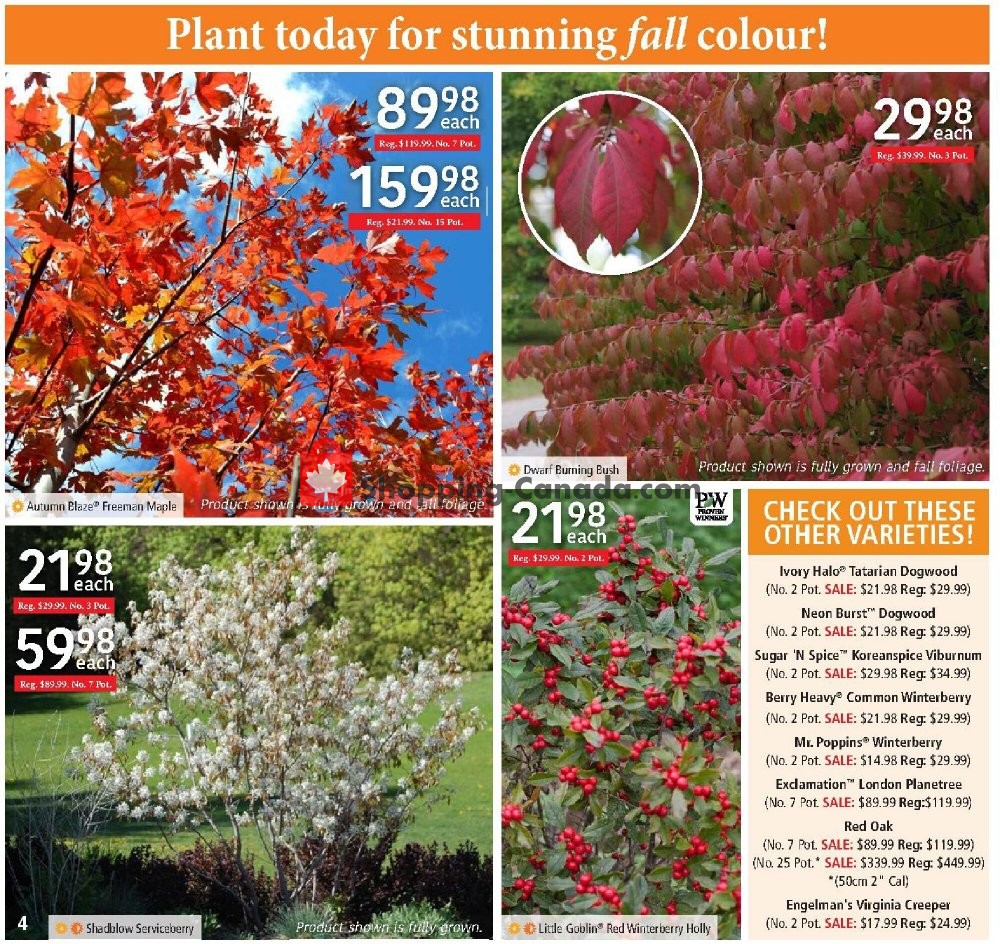 Sheridan Nurseries flyer from Thursday August 6, 2020 to Wednesday August 26, 2020 - page 4
