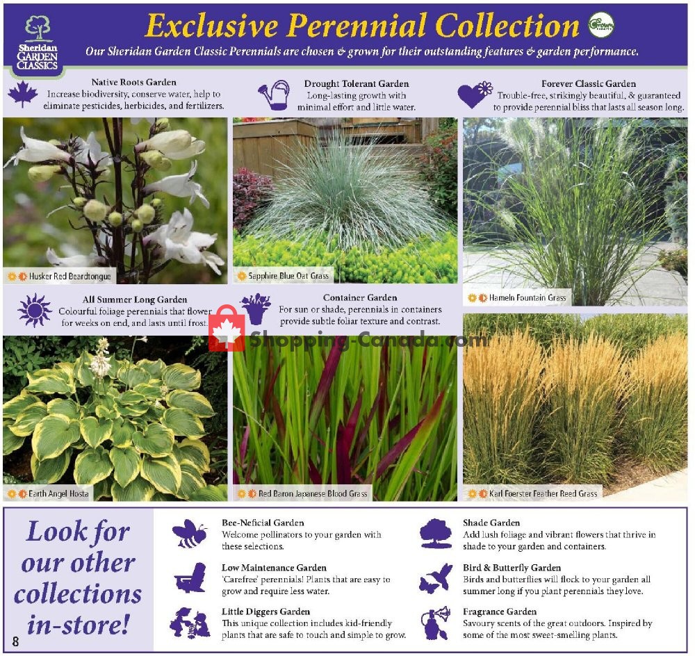 Sheridan Nurseries flyer from Thursday August 6, 2020 to Wednesday August 26, 2020 - page 8