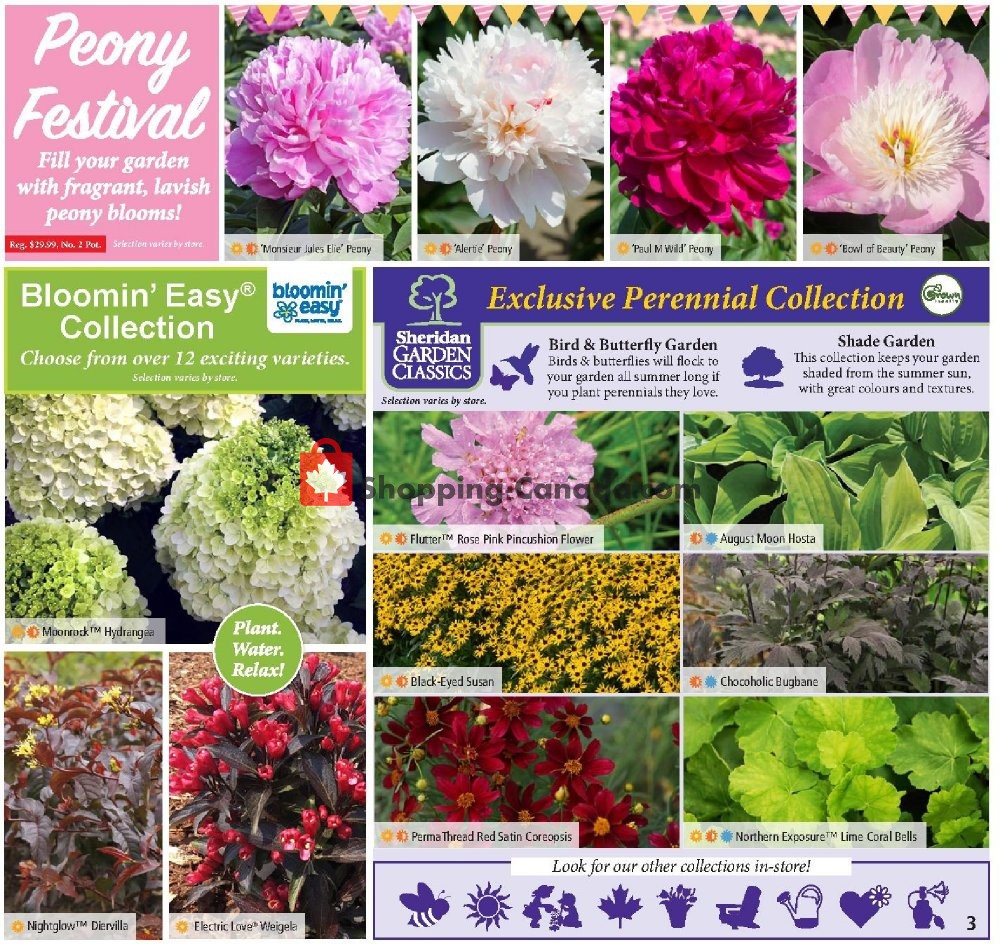Sheridan Nurseries flyer from Thursday May 28, 2020 to Wednesday June 10, 2020 - page 3