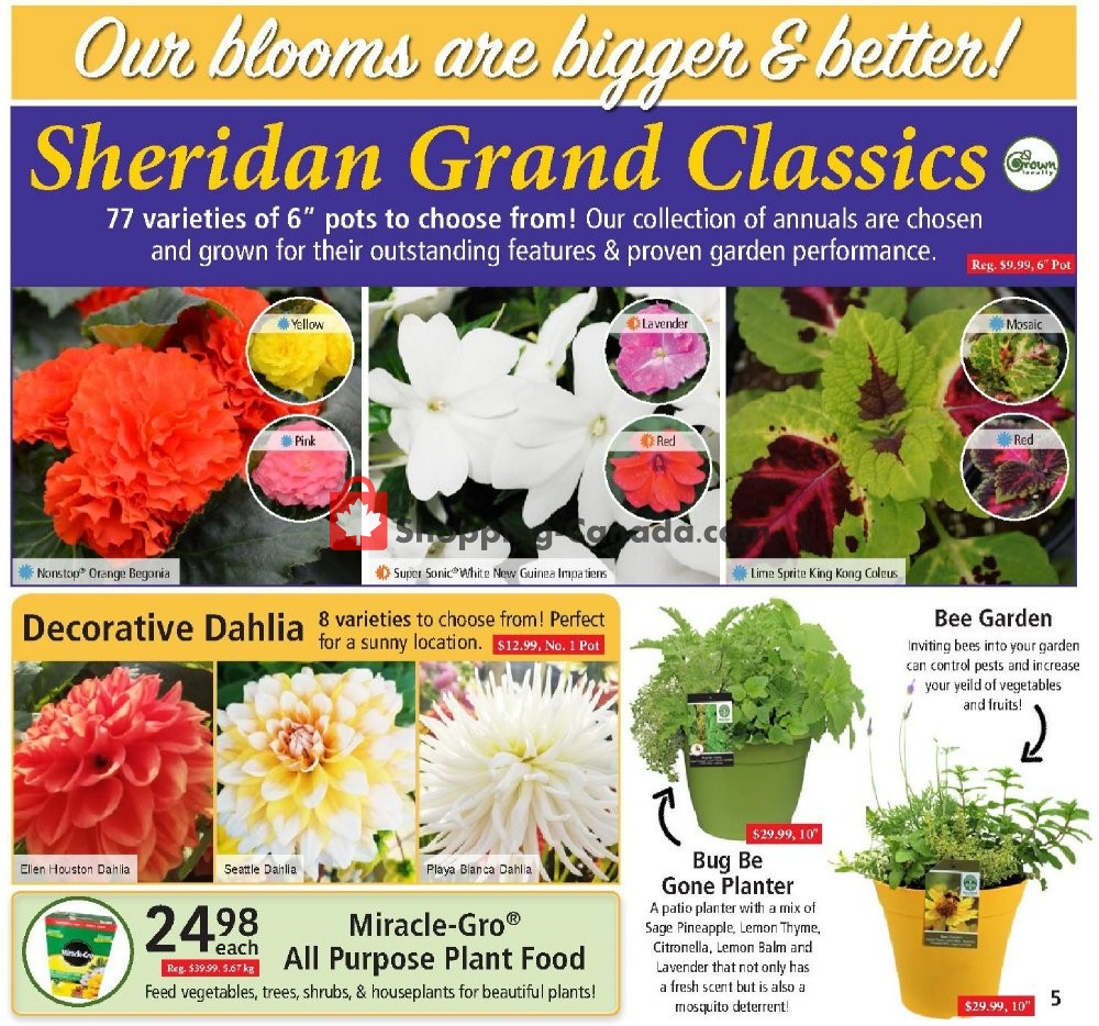 Sheridan Nurseries flyer from Thursday May 28, 2020 to Wednesday June 10, 2020 - page 5