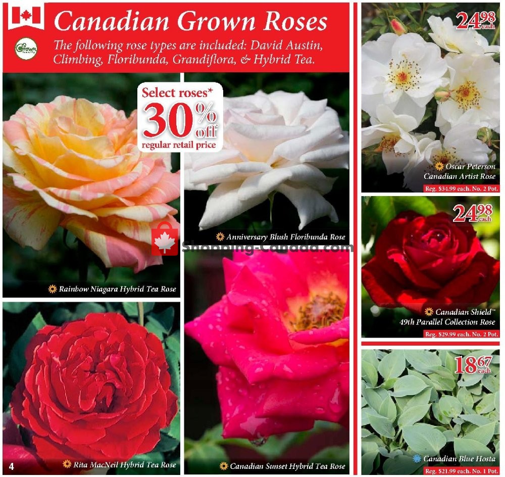 Sheridan Nurseries flyer from Thursday June 27, 2019 to Wednesday July 10, 2019 - page 4