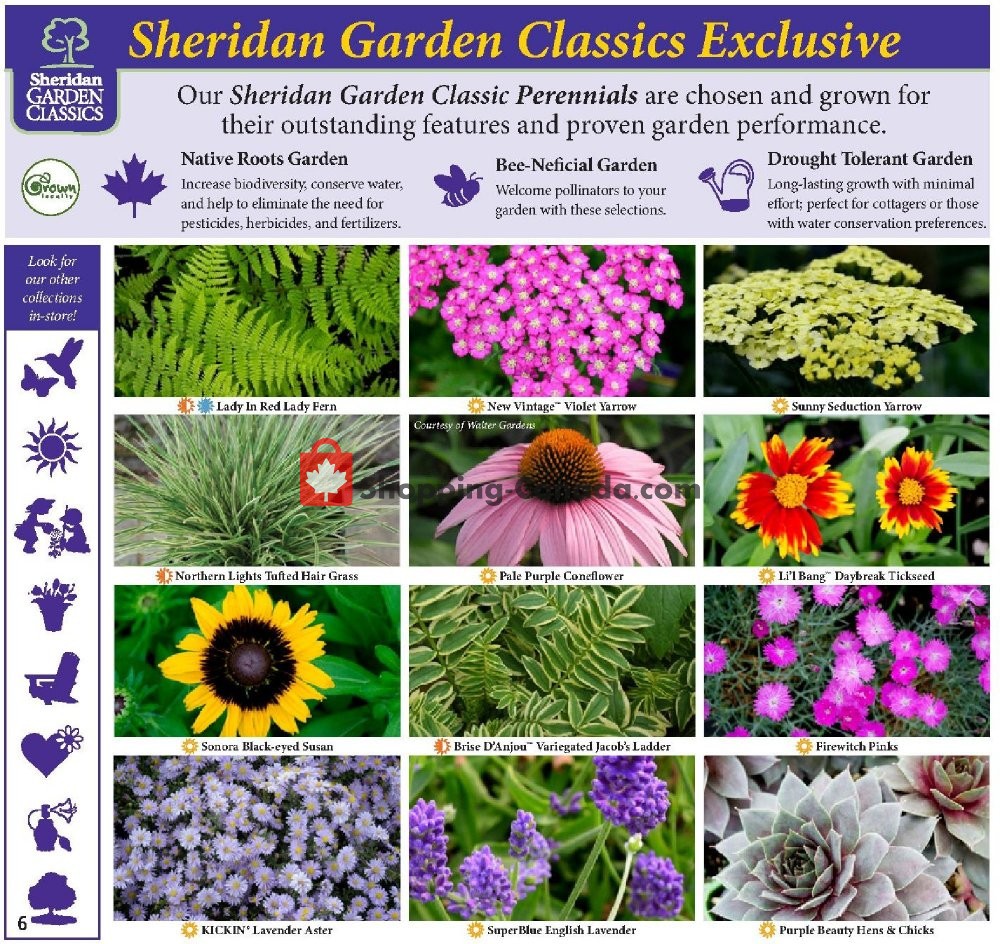 Sheridan Nurseries flyer from Thursday June 27, 2019 to Wednesday July 10, 2019 - page 6
