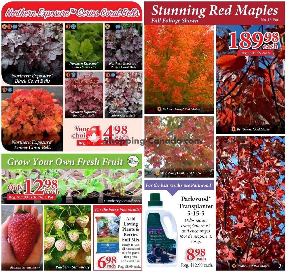 Sheridan Nurseries flyer from Thursday June 27, 2019 to Wednesday July 10, 2019 - page 7