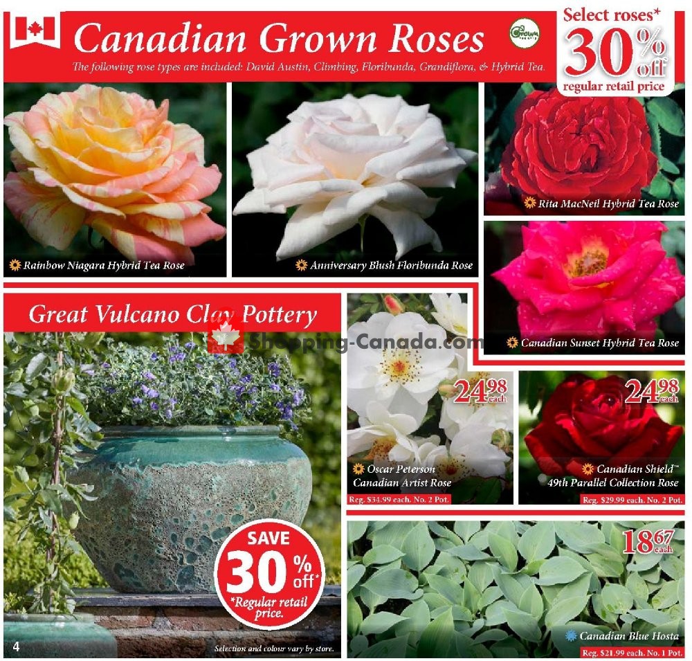 Sheridan Nurseries flyer from Thursday June 27, 2019 to Wednesday July 10, 2019 - page 4