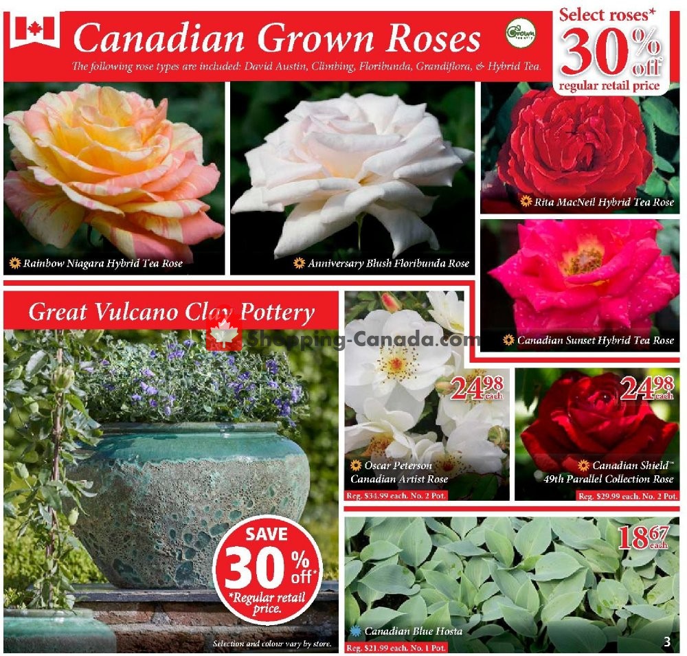 Sheridan Nurseries flyer from Thursday June 27, 2019 to Wednesday July 10, 2019 - page 3