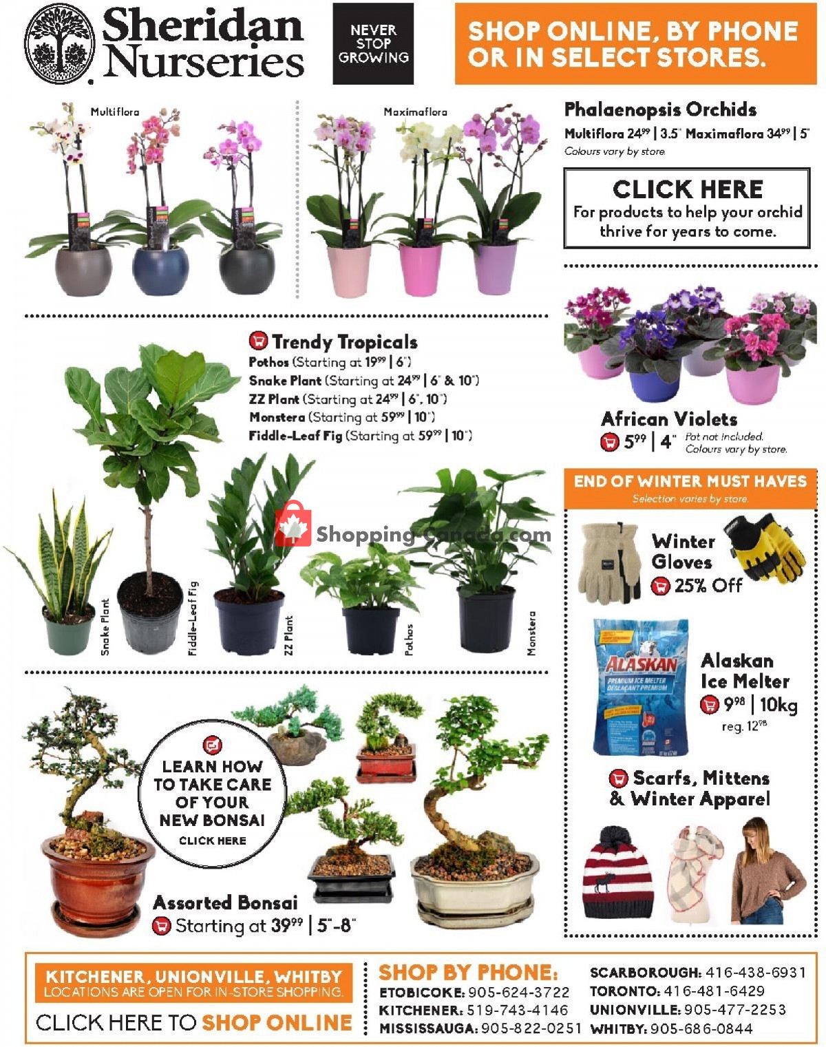 Sheridan Nurseries Canada, flyer (Special Deals) February 25 March