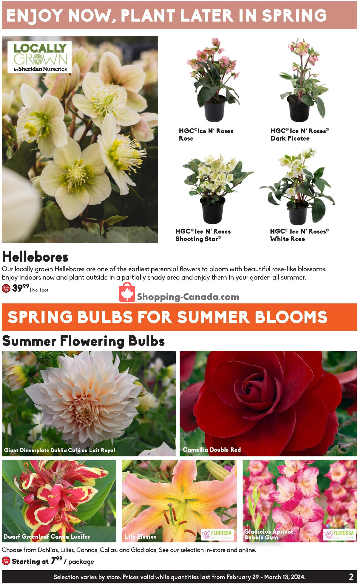 Sheridan Nurseries flyer from Thursday February 29, 2024 to Wednesday March 13, 2024 - page 2