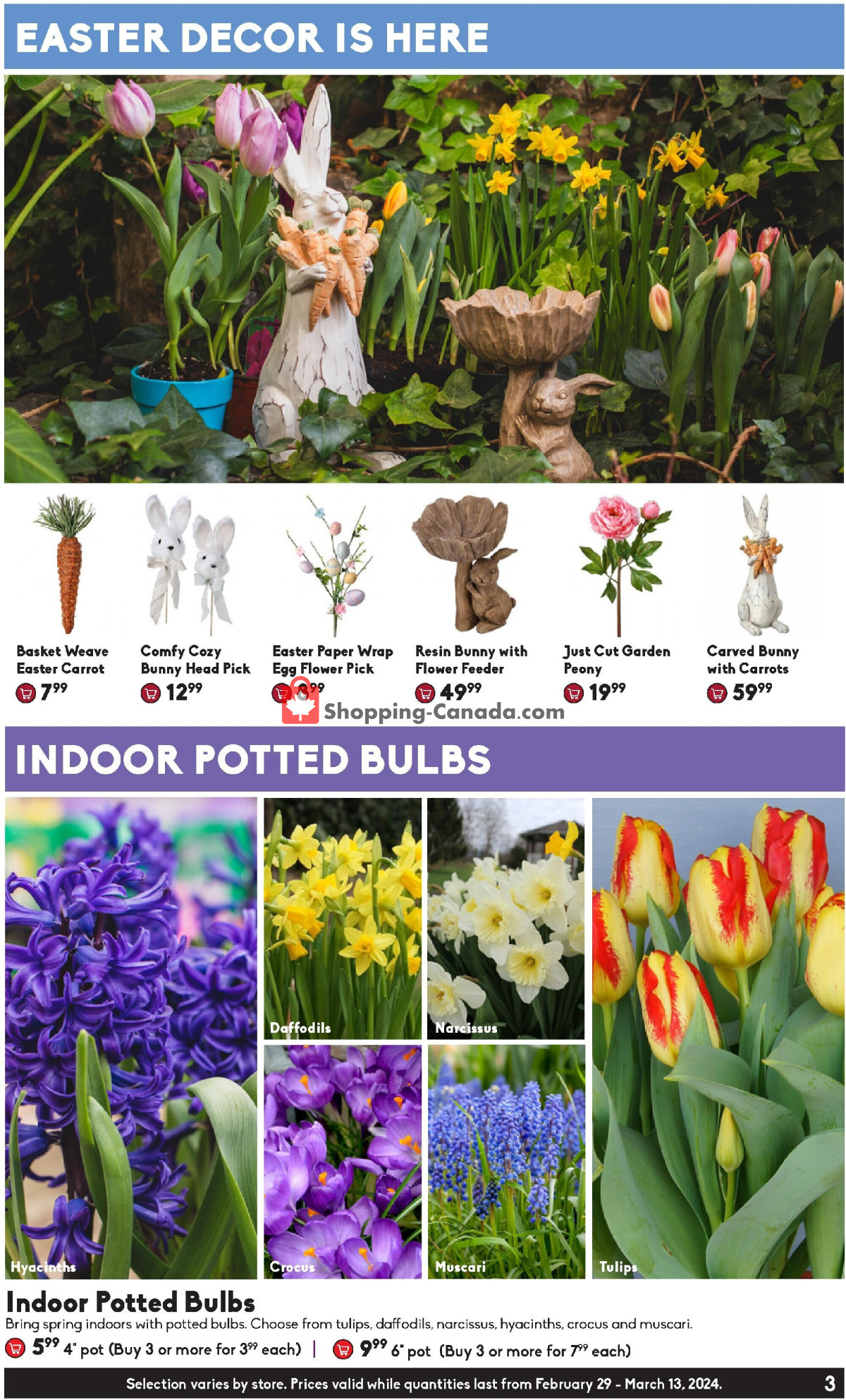 Sheridan Nurseries flyer from Thursday February 29, 2024 to Wednesday March 13, 2024 - page 3