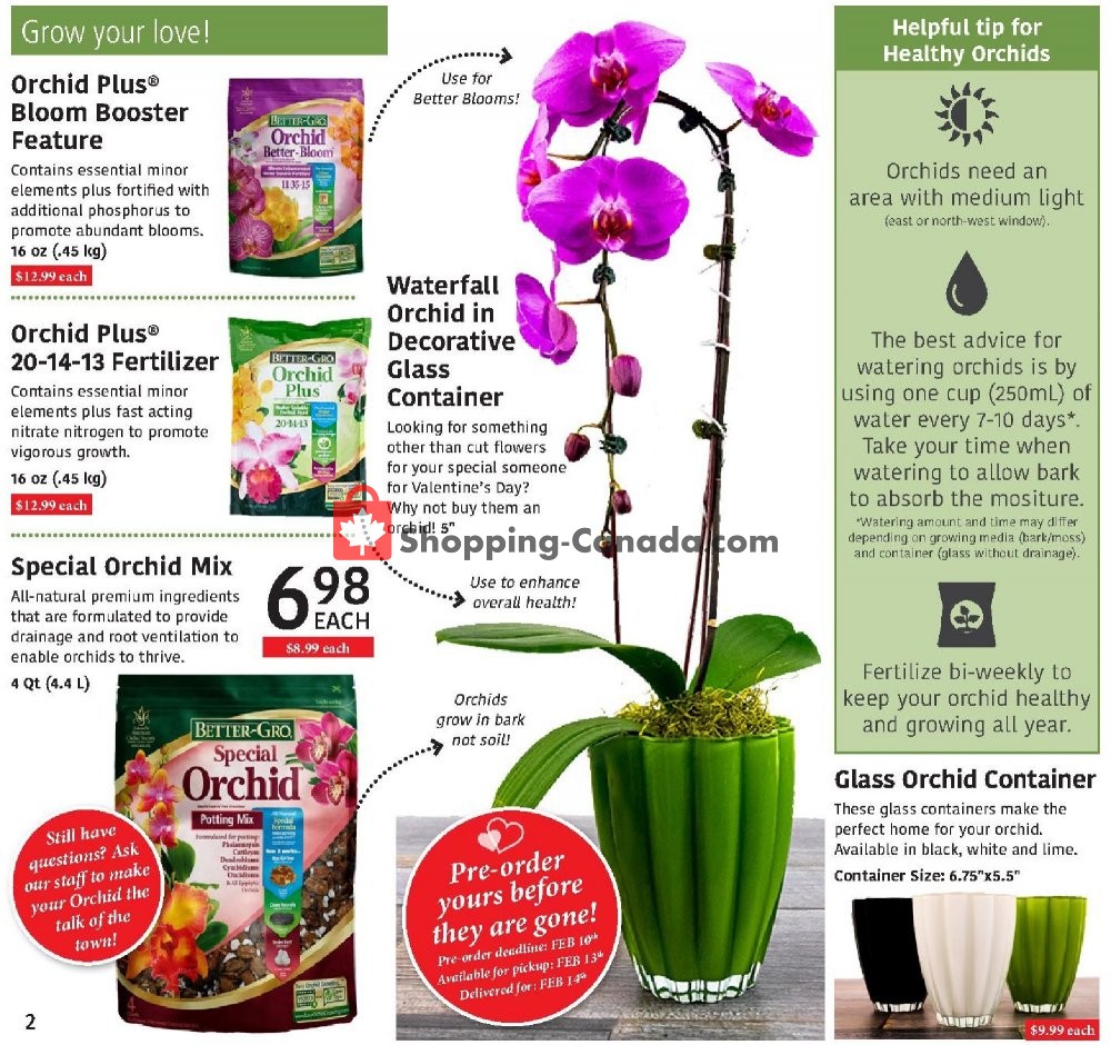 Sheridan Nurseries Canada, flyer (Special Offer) January 30