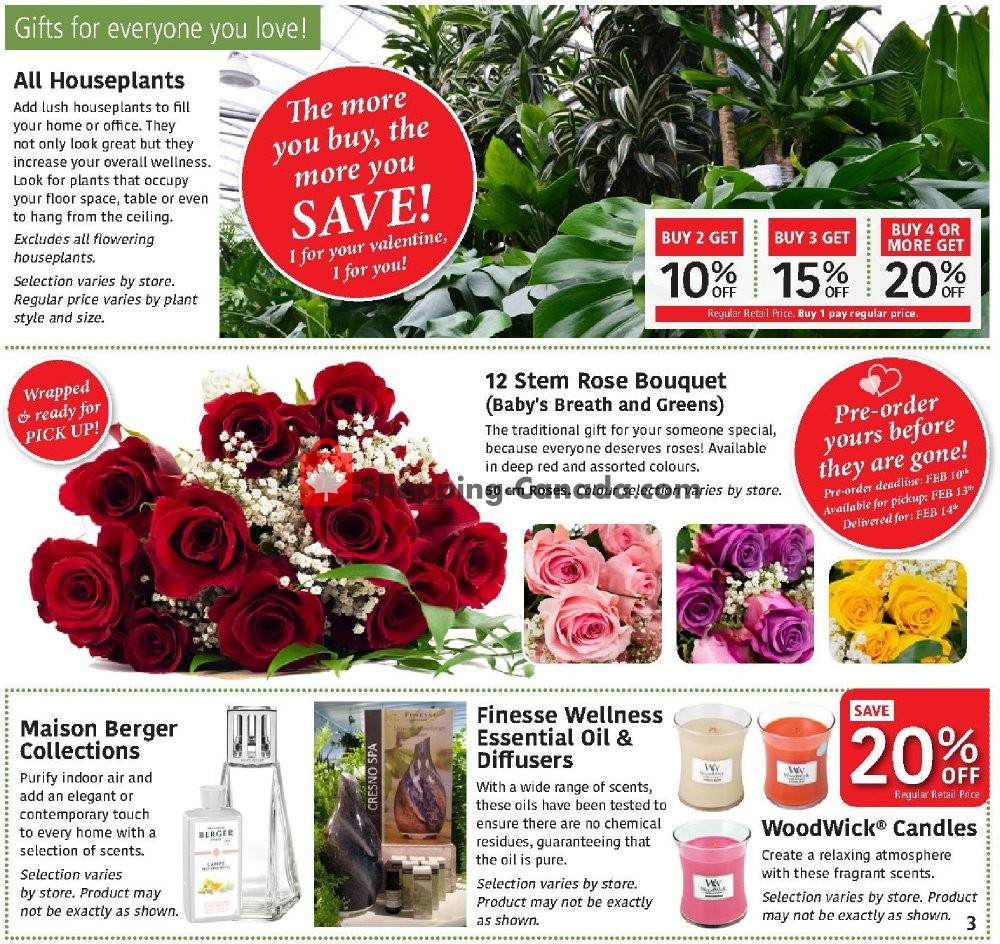 Sheridan Nurseries Canada, flyer (Special Offer) January 30