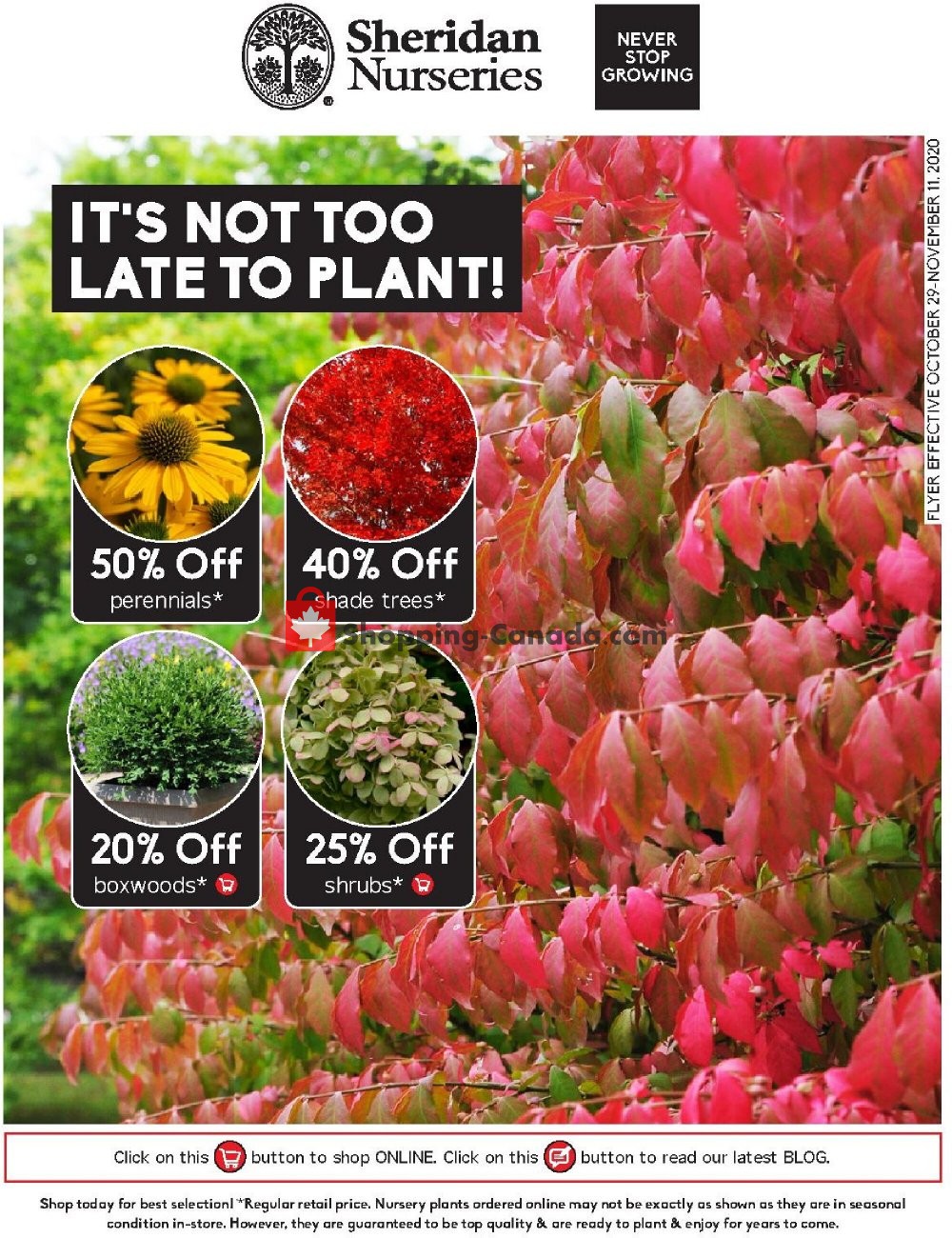 Sheridan Nurseries Canada, flyer (Special Offer) October 29